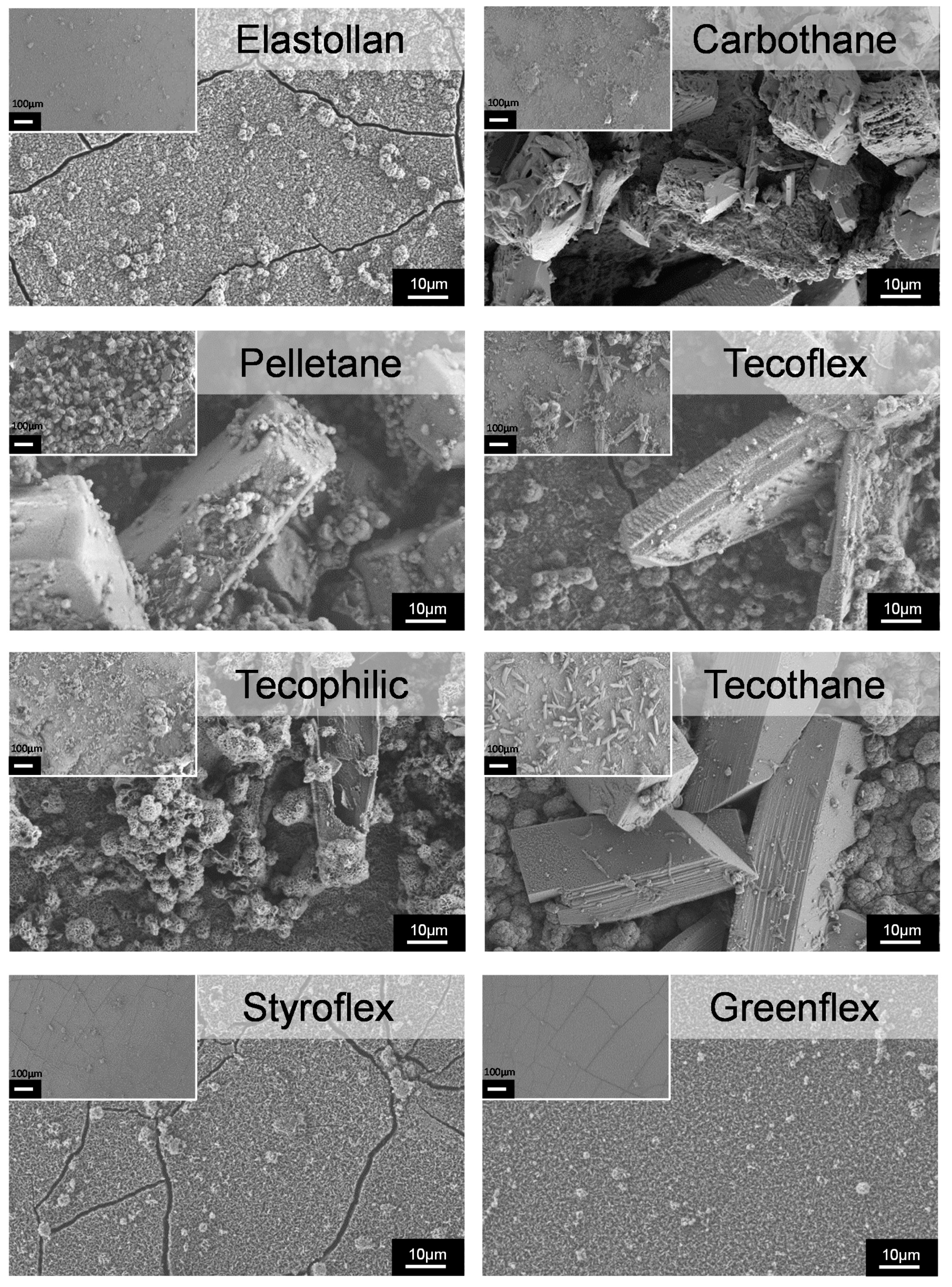 Polymers 12 00558 g005 Polymers 12 00558 g005