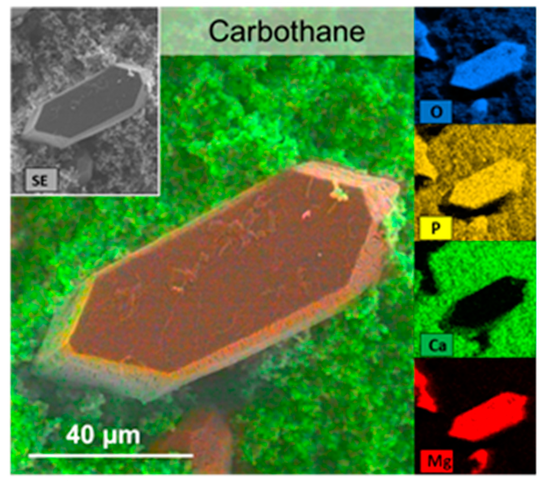 Polymers 12 00558 g006 Polymers 12 00558 g006