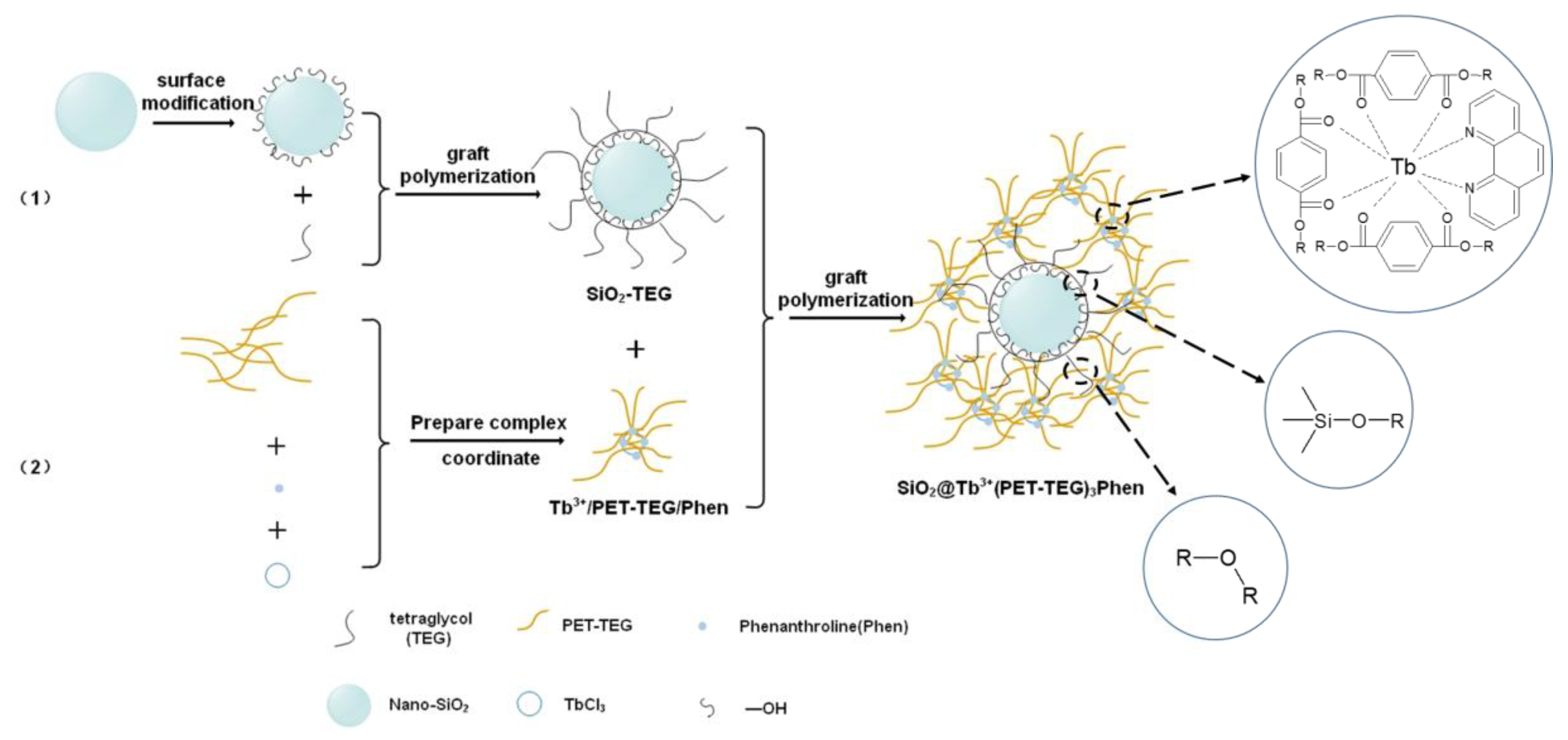 Polymers 12 00568 sch001 Polymers 12 00568 sch001
