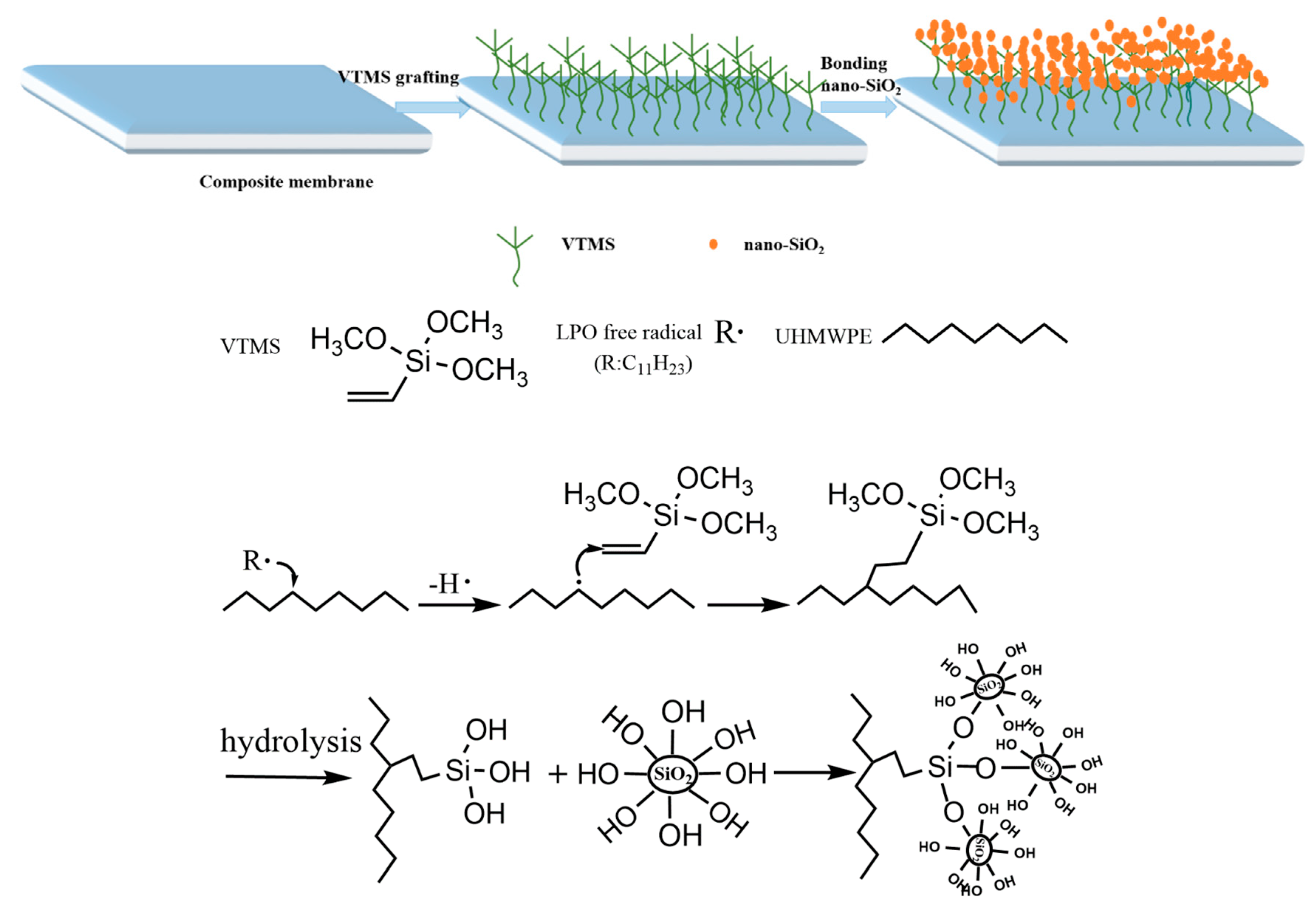 Polymers 12 00569 g001