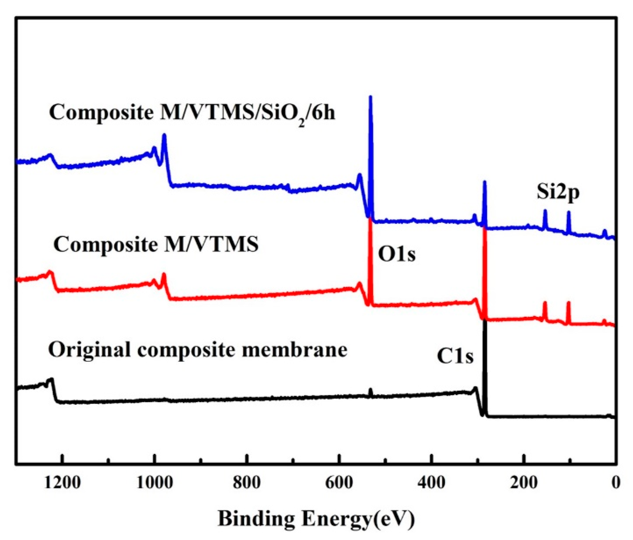 Polymers 12 00569 g004