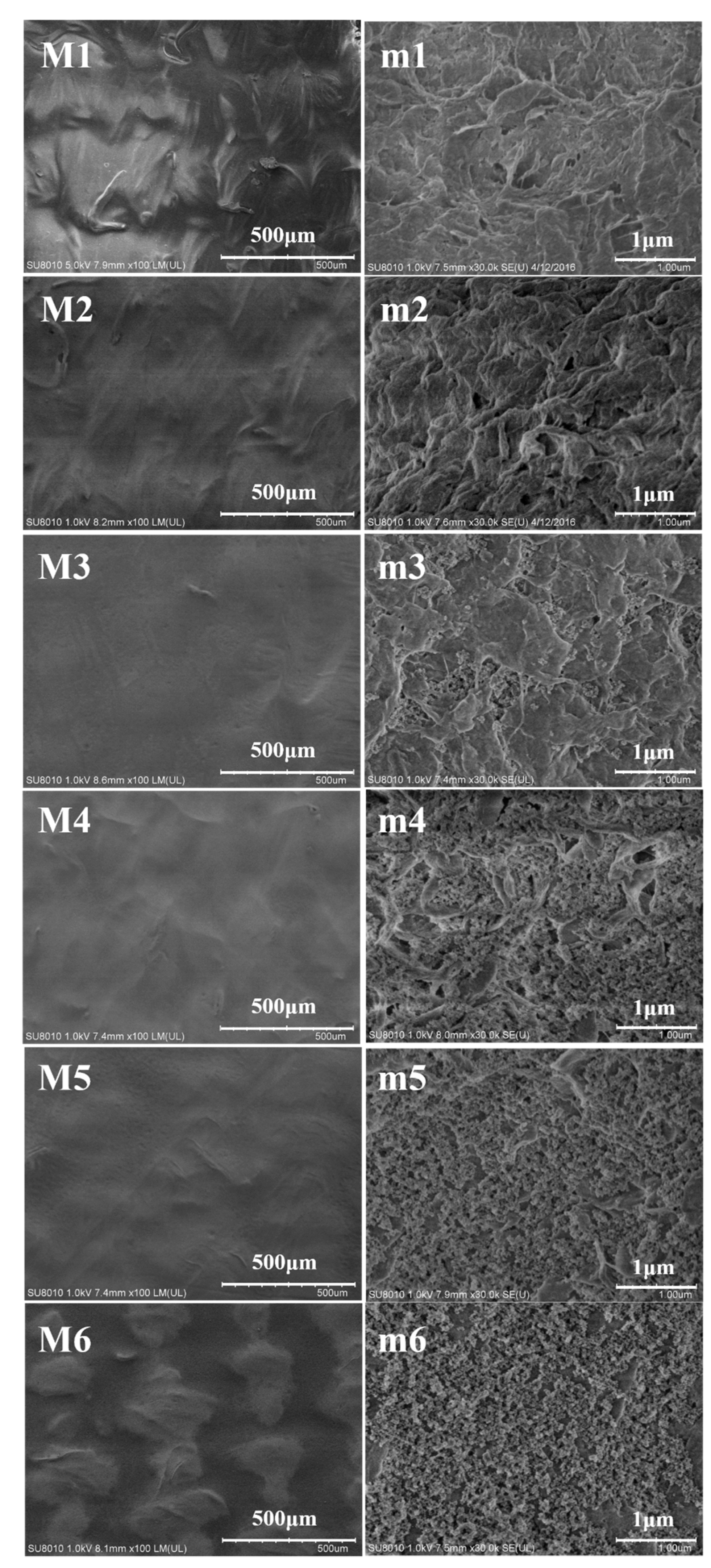 Polymers 12 00569 g006