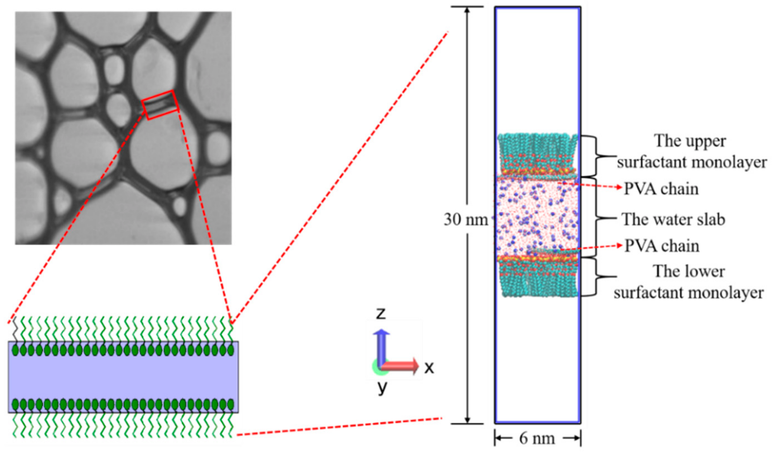 Polymers 12 00571 g003