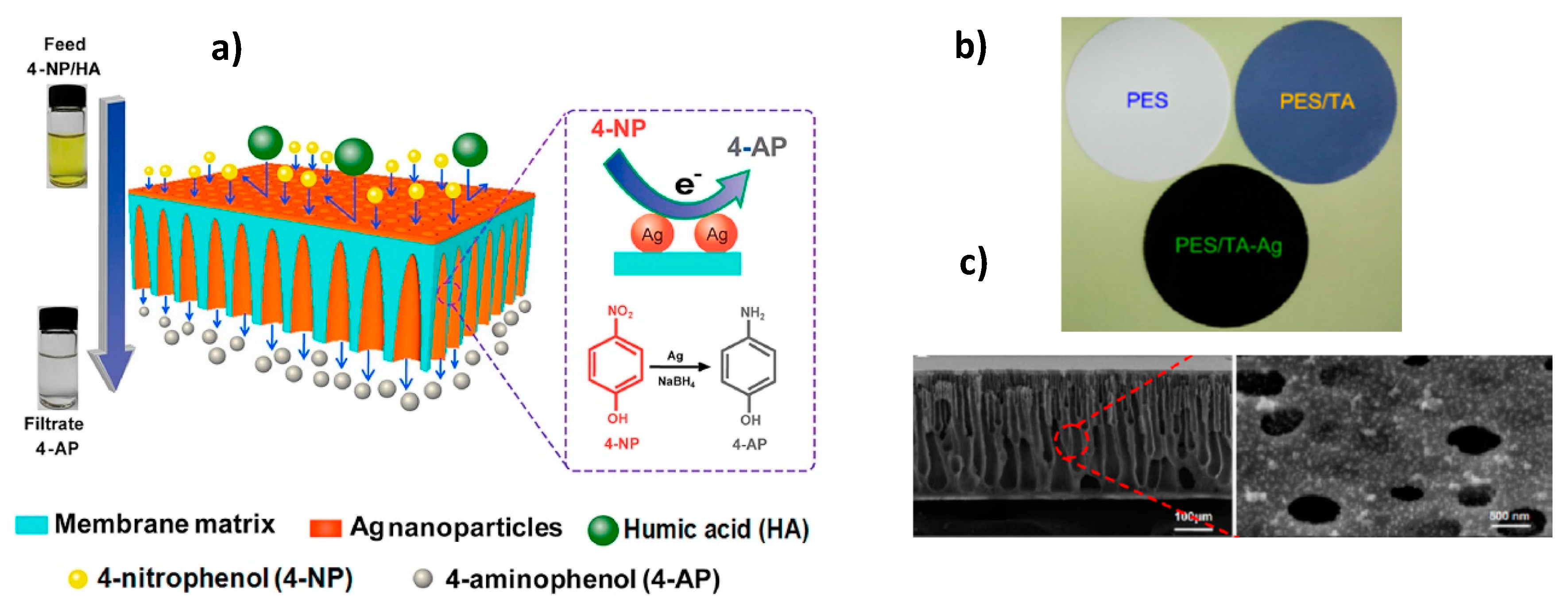 Polymers 12 00572 g011 Polymers 12 00572 g011