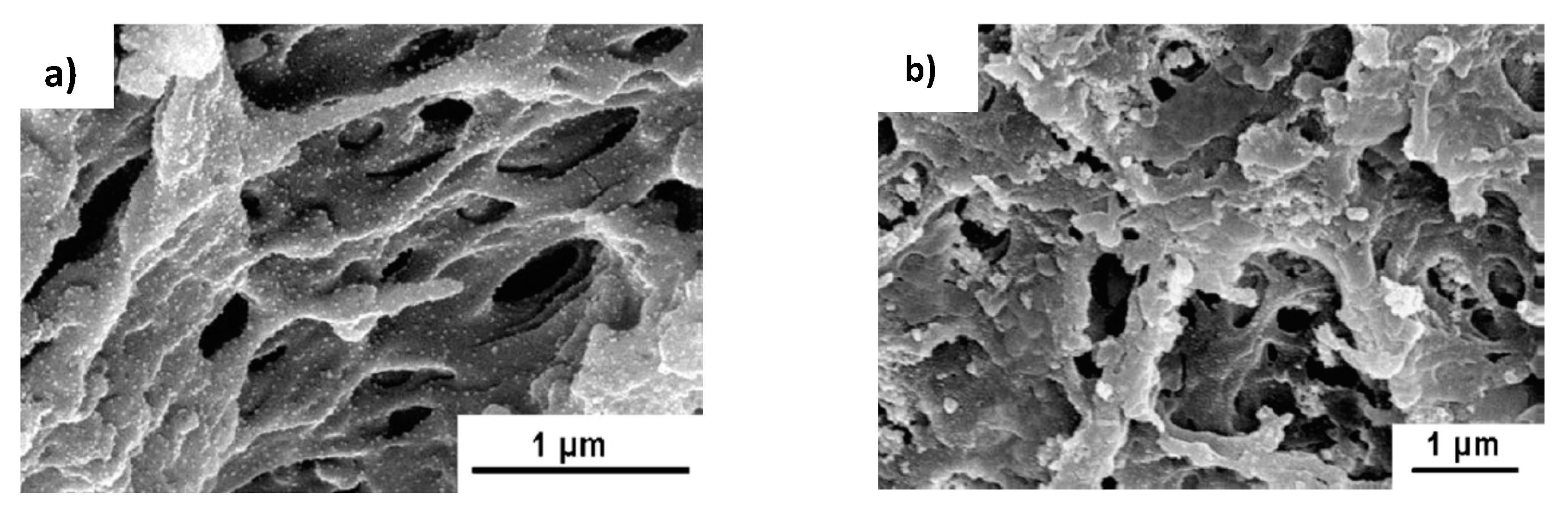 Polymers 12 00572 g016 Polymers 12 00572 g016