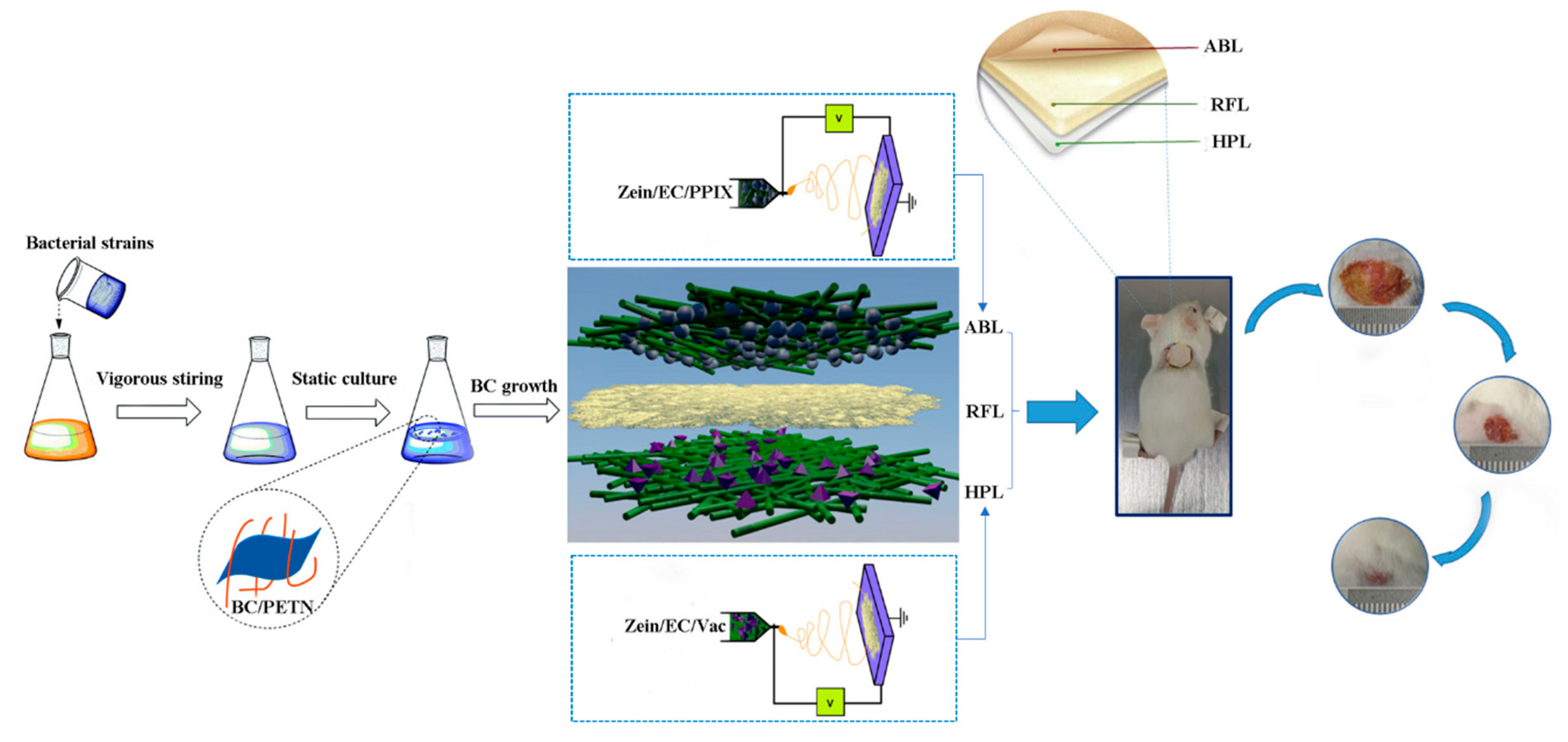 Polymers 12 00573 g001