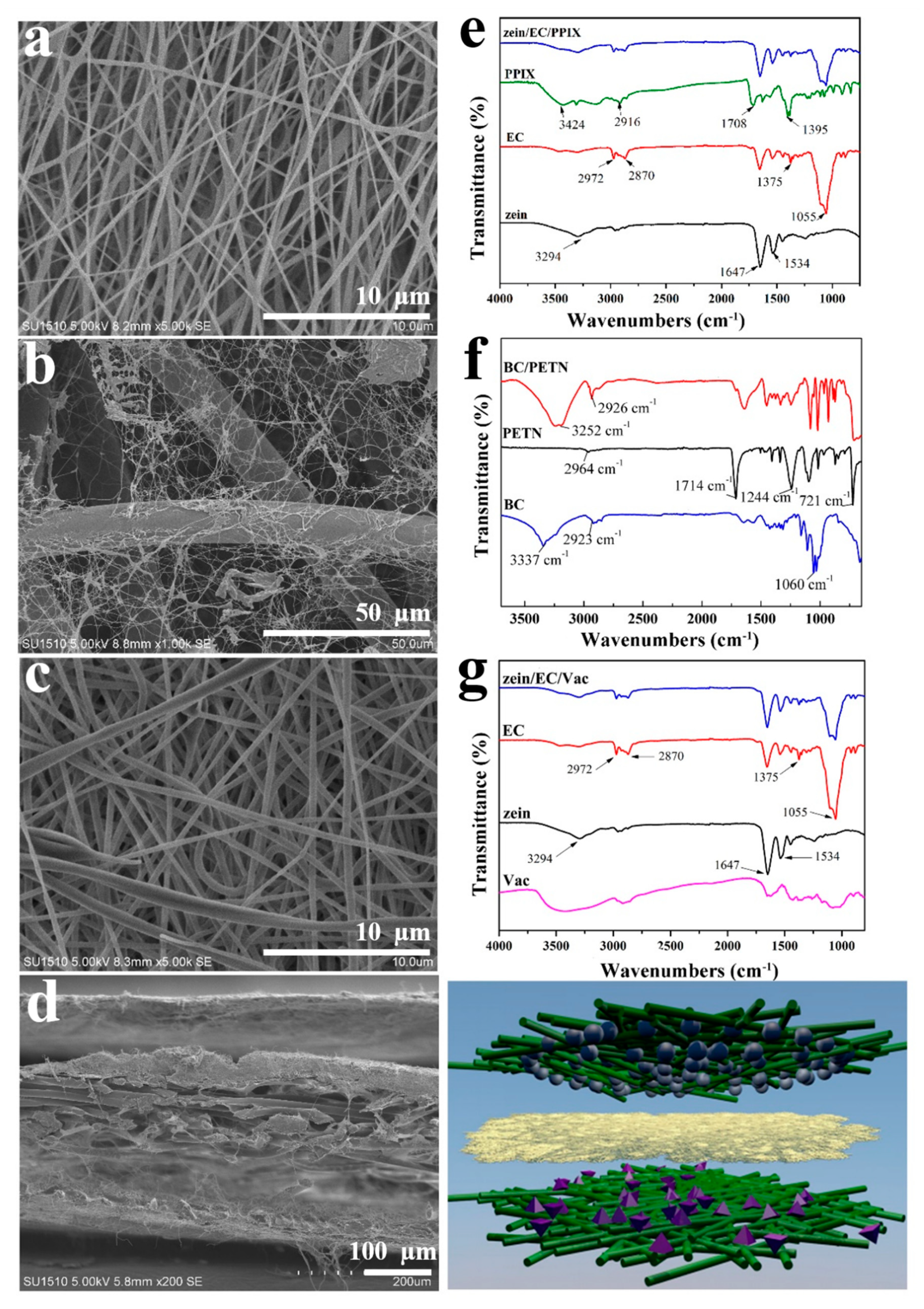 Polymers 12 00573 g003
