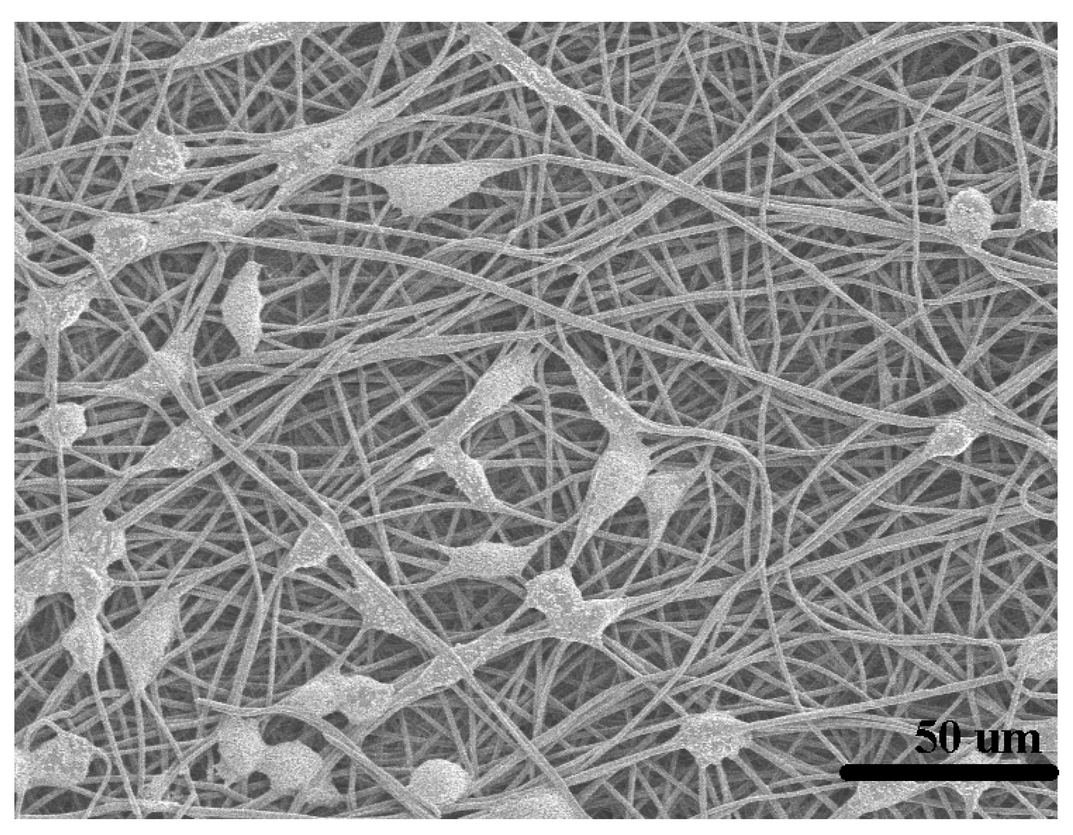 Polymers 12 00573 g006