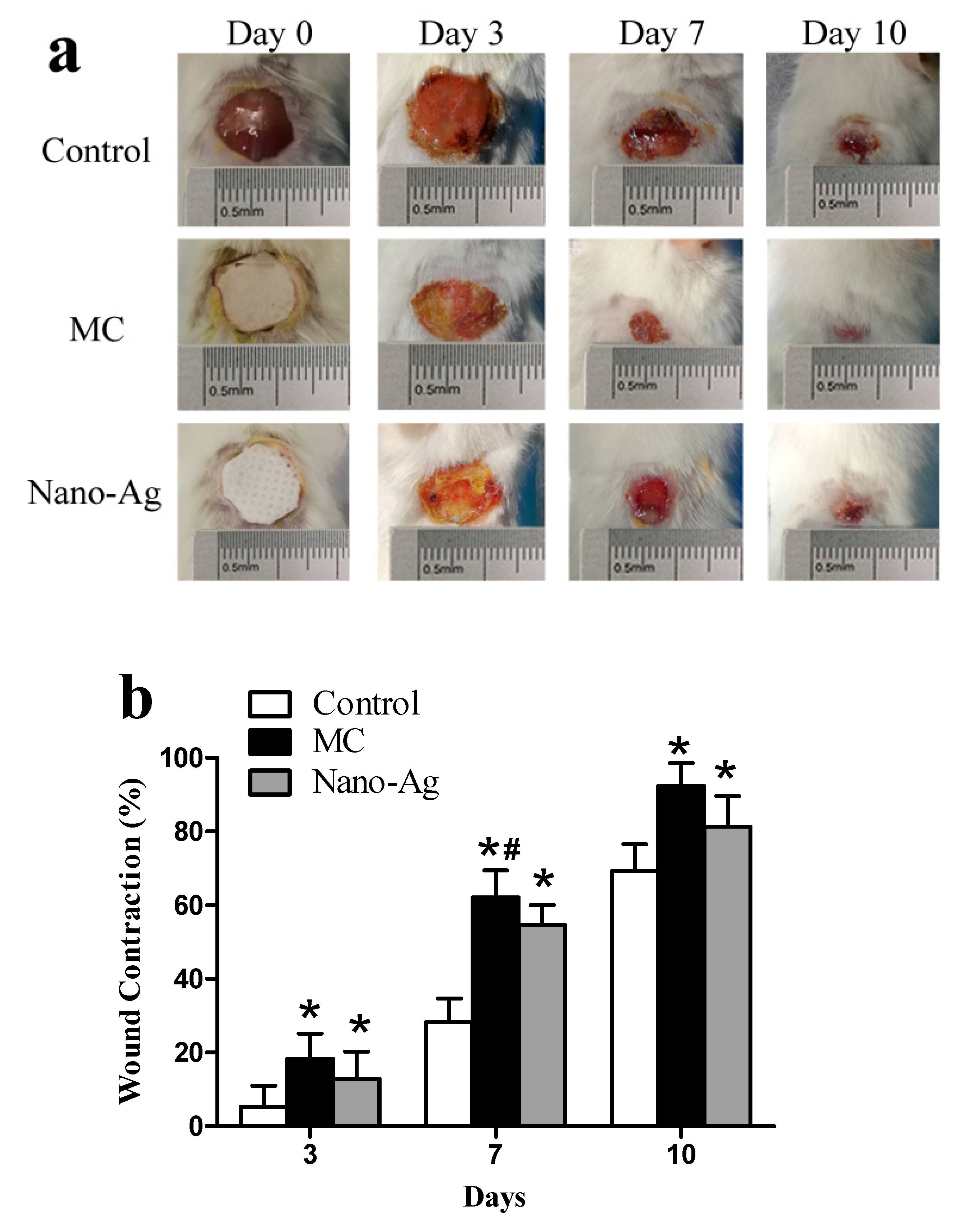 Polymers 12 00573 g007