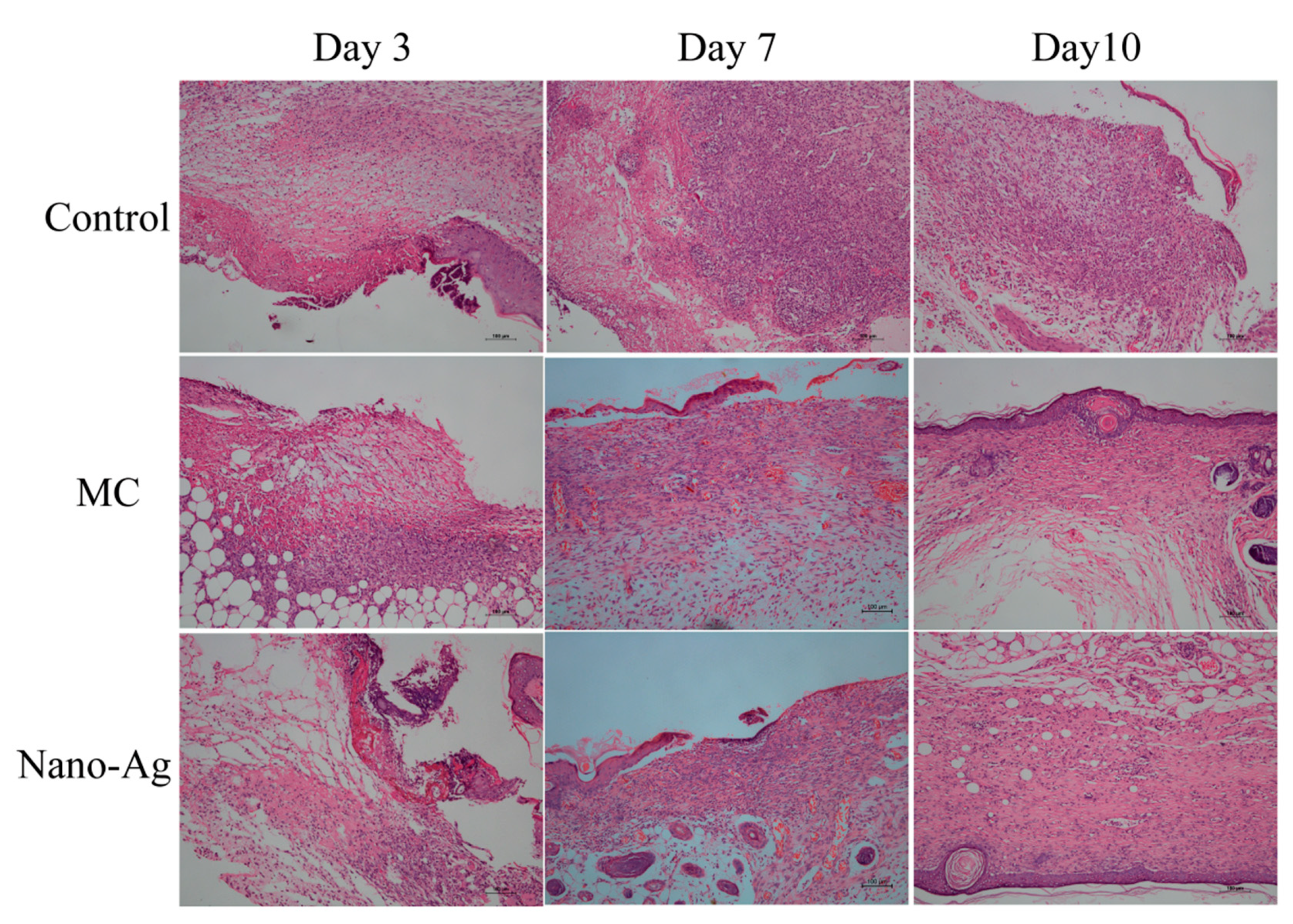 Polymers 12 00573 g008