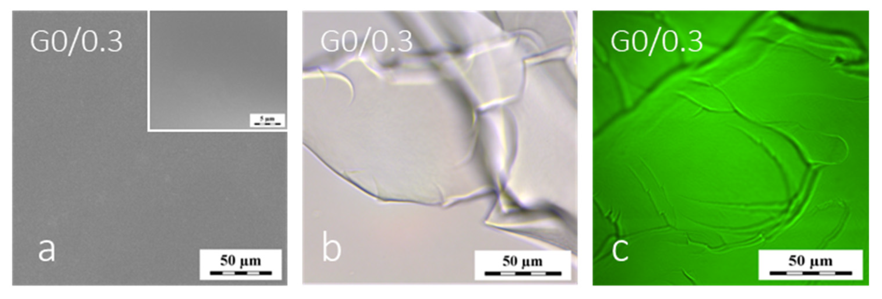 Polymers 12 00578 g002 Polymers 12 00578 g002