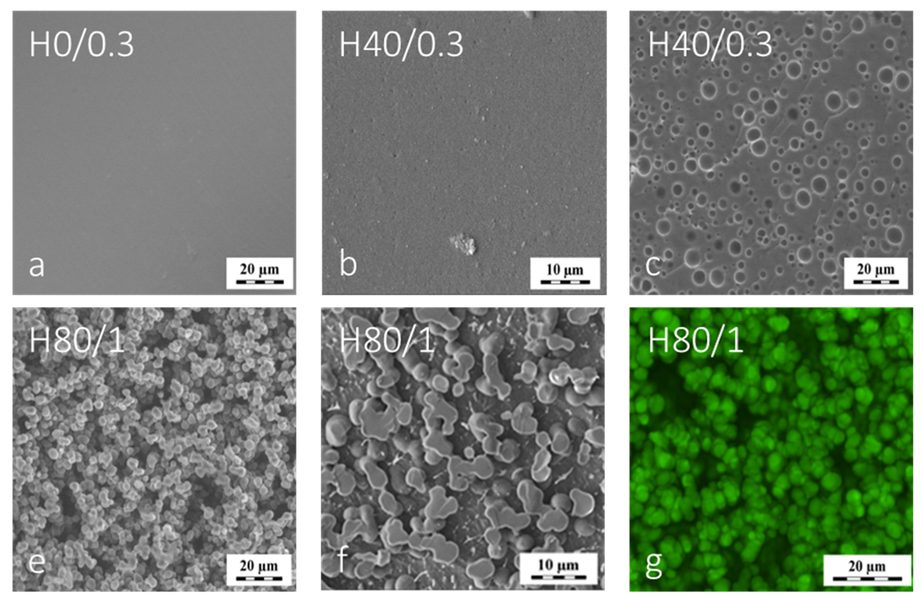Polymers 12 00578 g005 Polymers 12 00578 g005