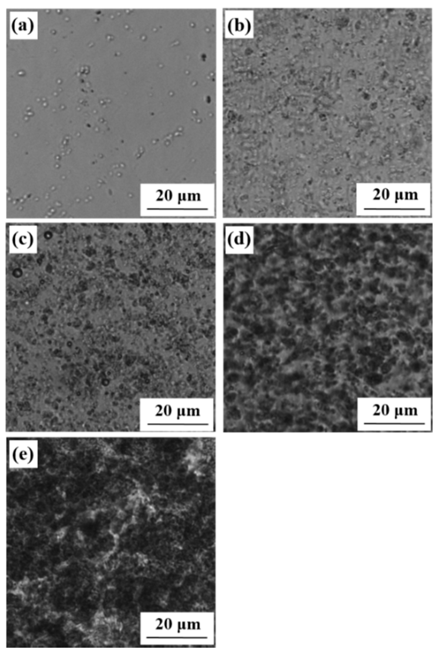 Polymers 12 00584 g003 Polymers 12 00584 g003