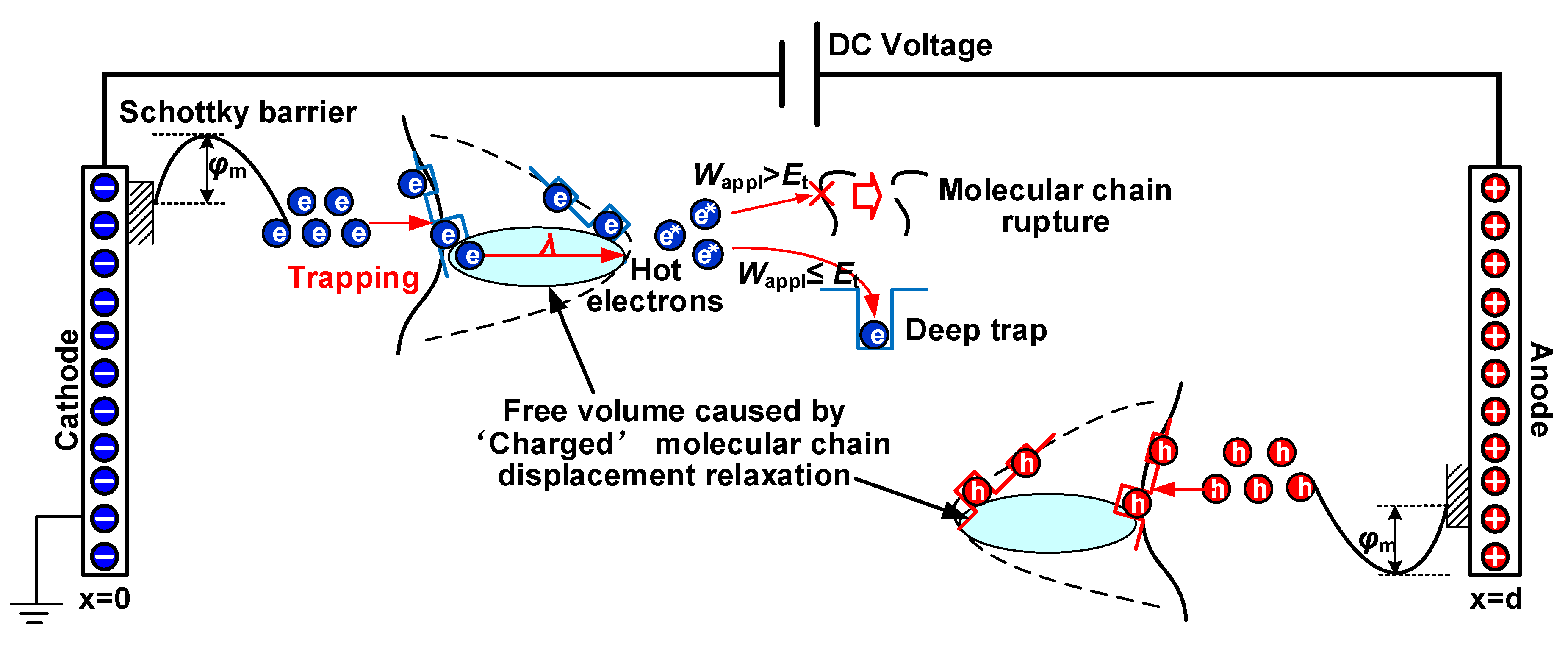 Polymers 12 00589 g014