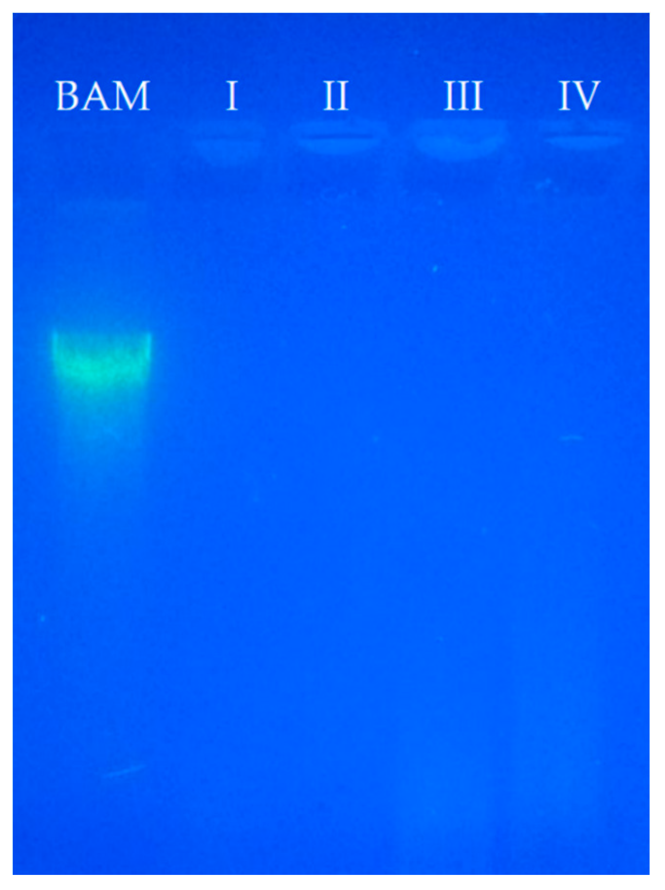 Polymers 12 00590 g001