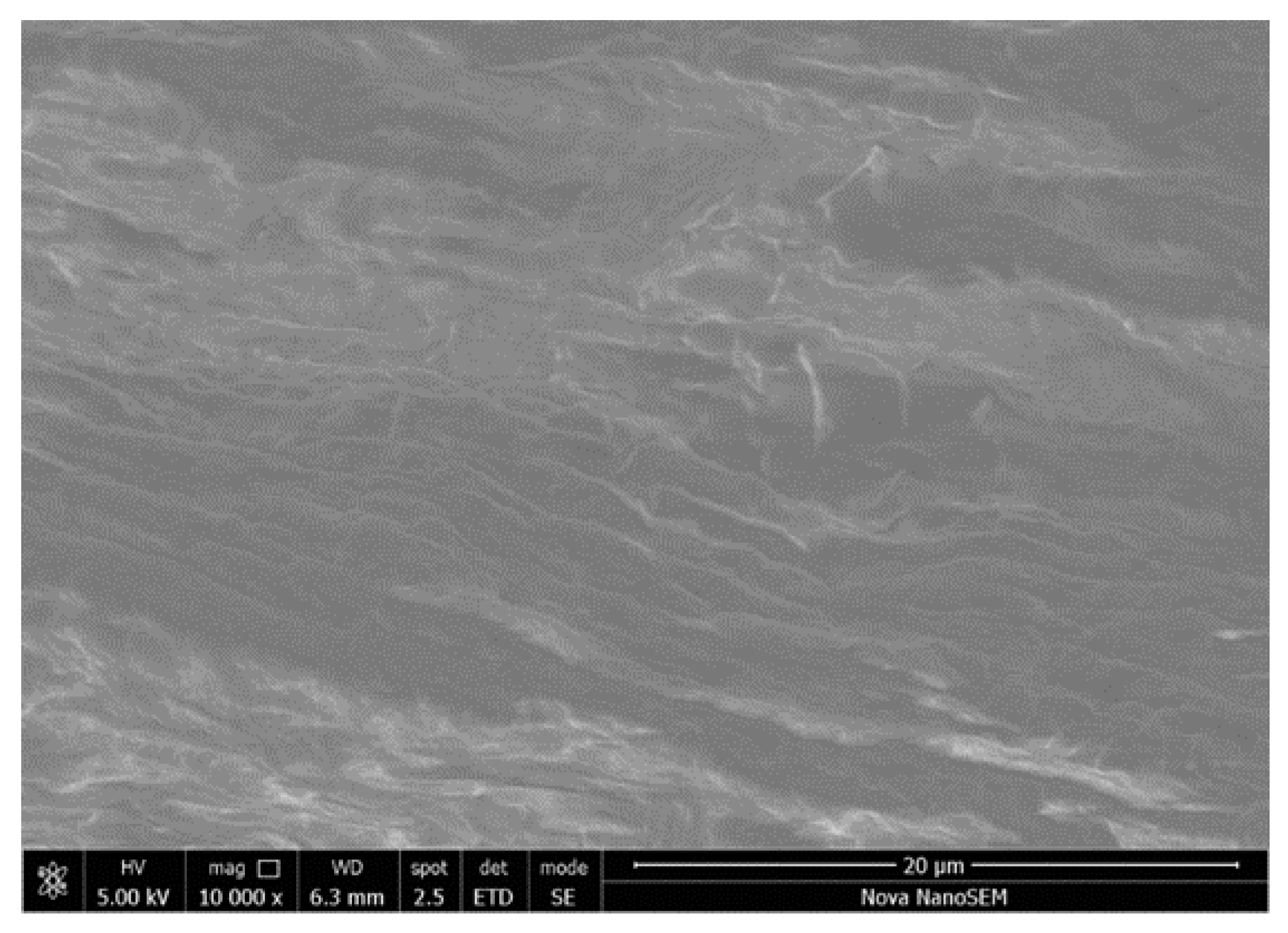 Polymers 12 00590 g006