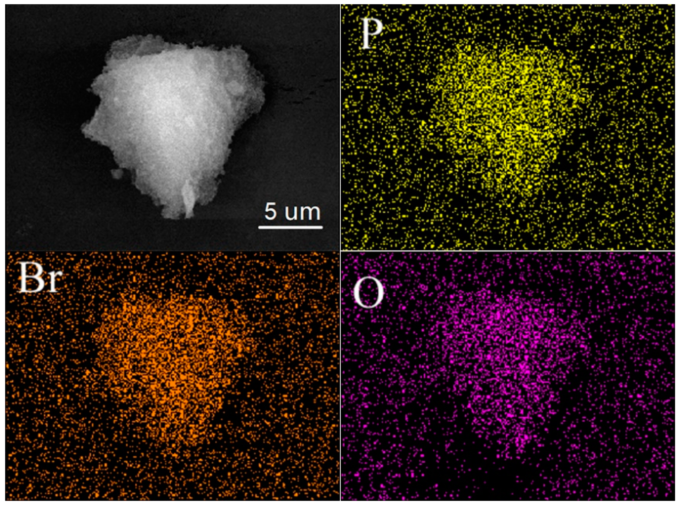 Polymers 12 00596 g005