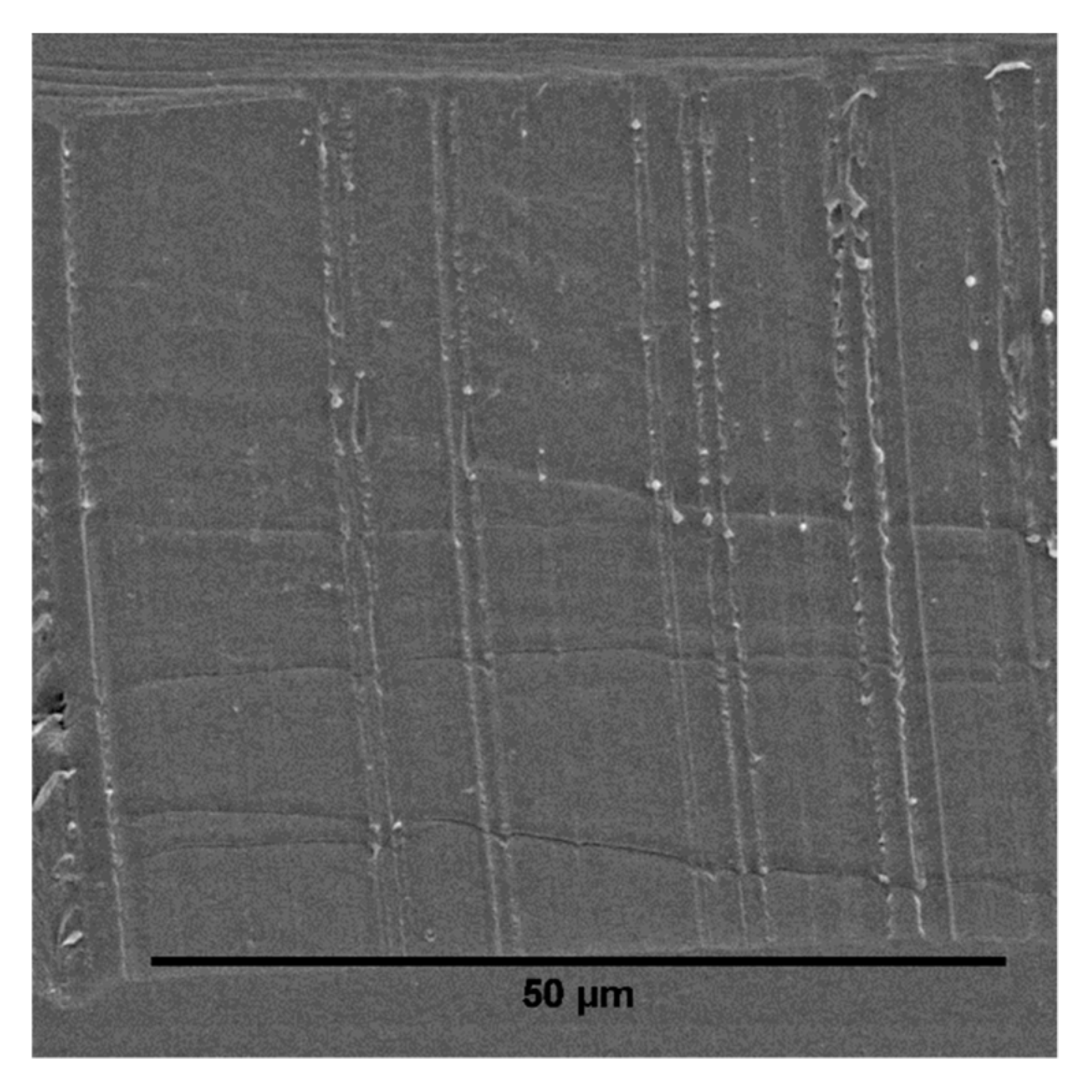 Polymers 12 00605 g005 Polymers 12 00605 g005