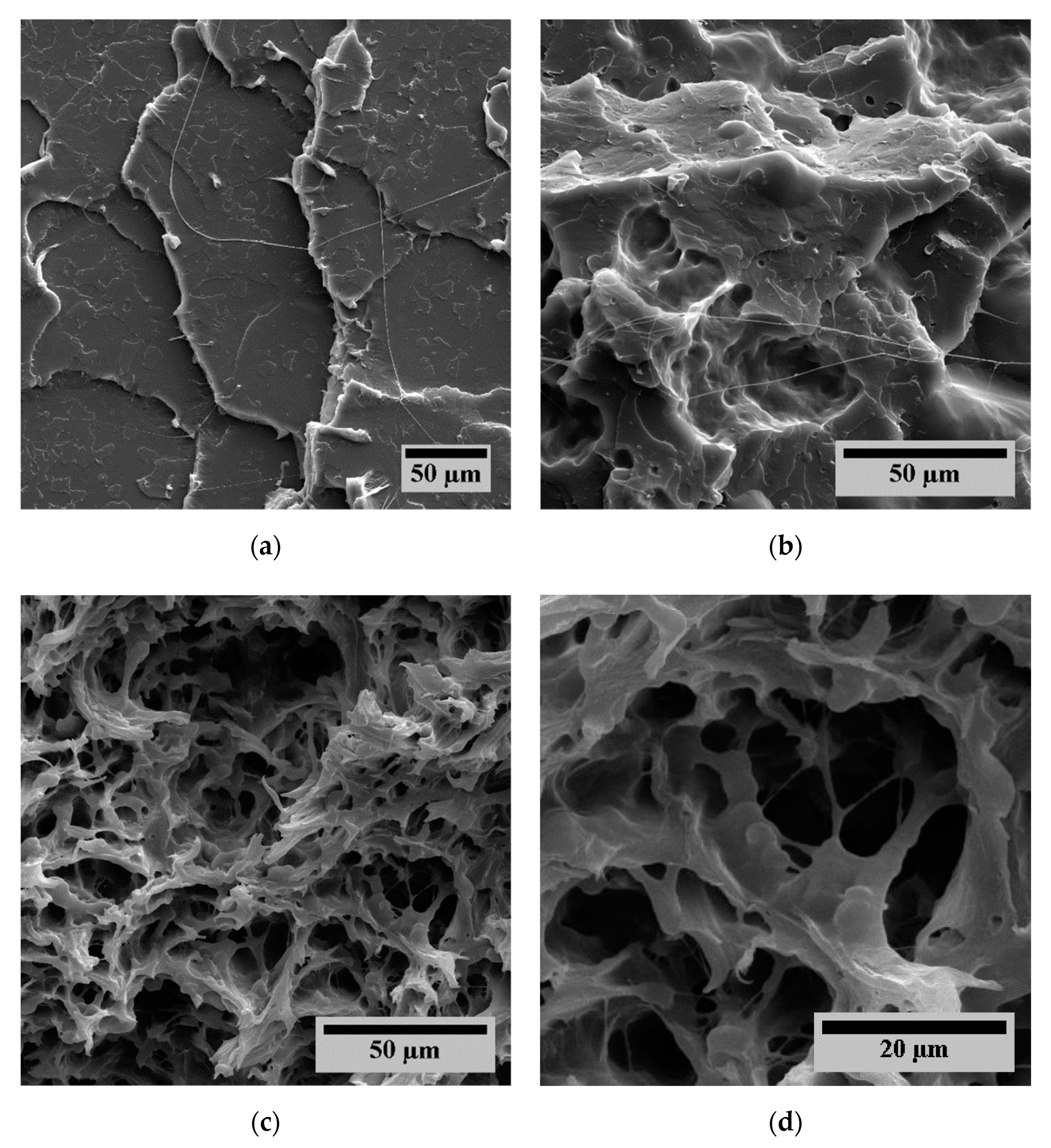 Polymers 12 00605 g016 Polymers 12 00605 g016