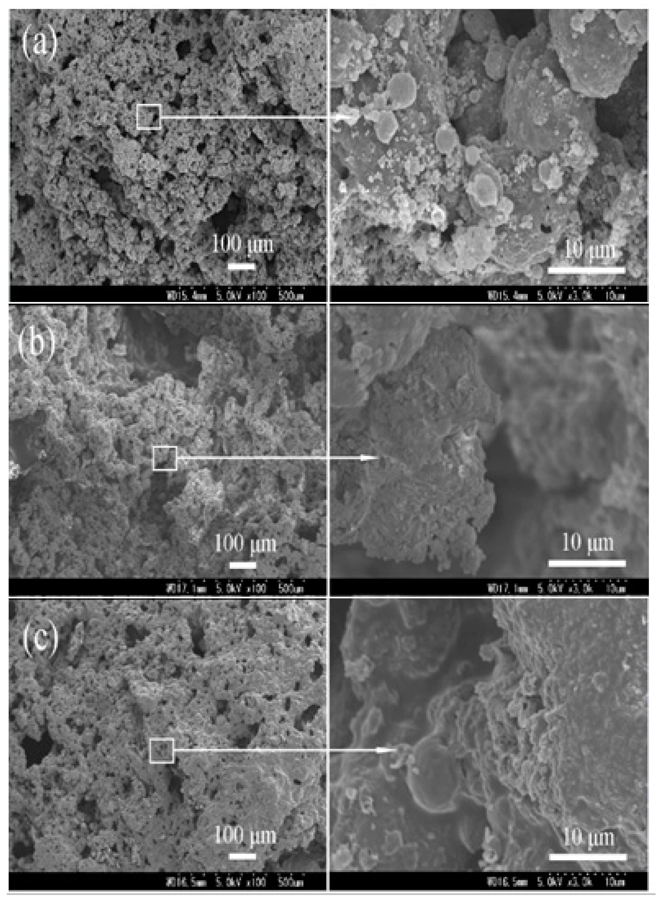 Polymers 12 00613 g005 Polymers 12 00613 g005