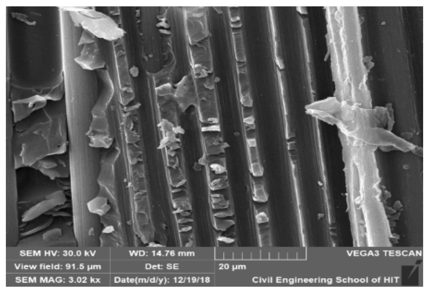 Polymers 12 00614 g007