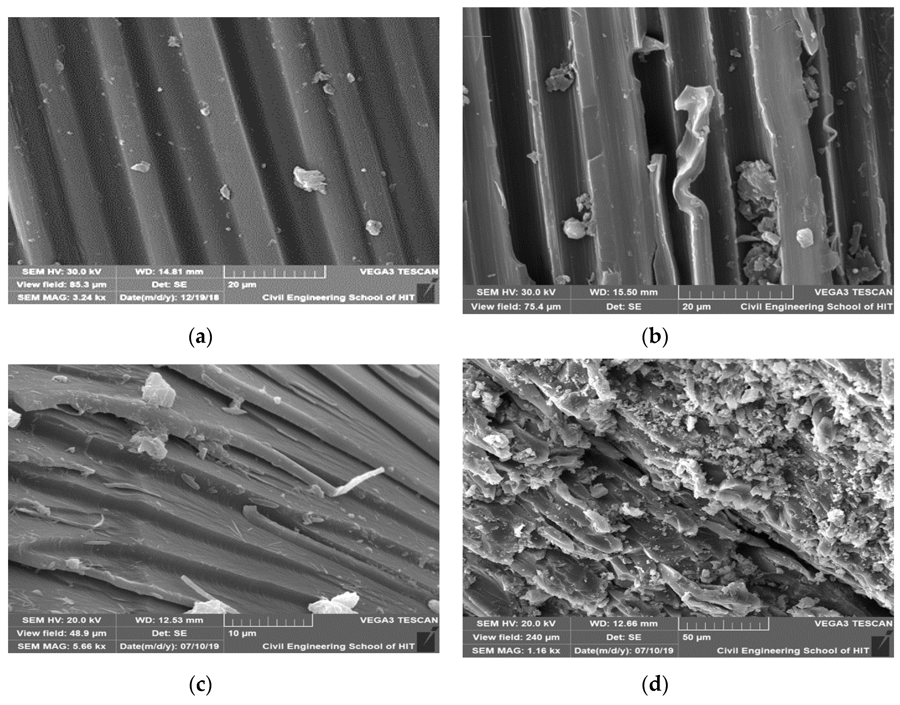 Polymers 12 00614 g011