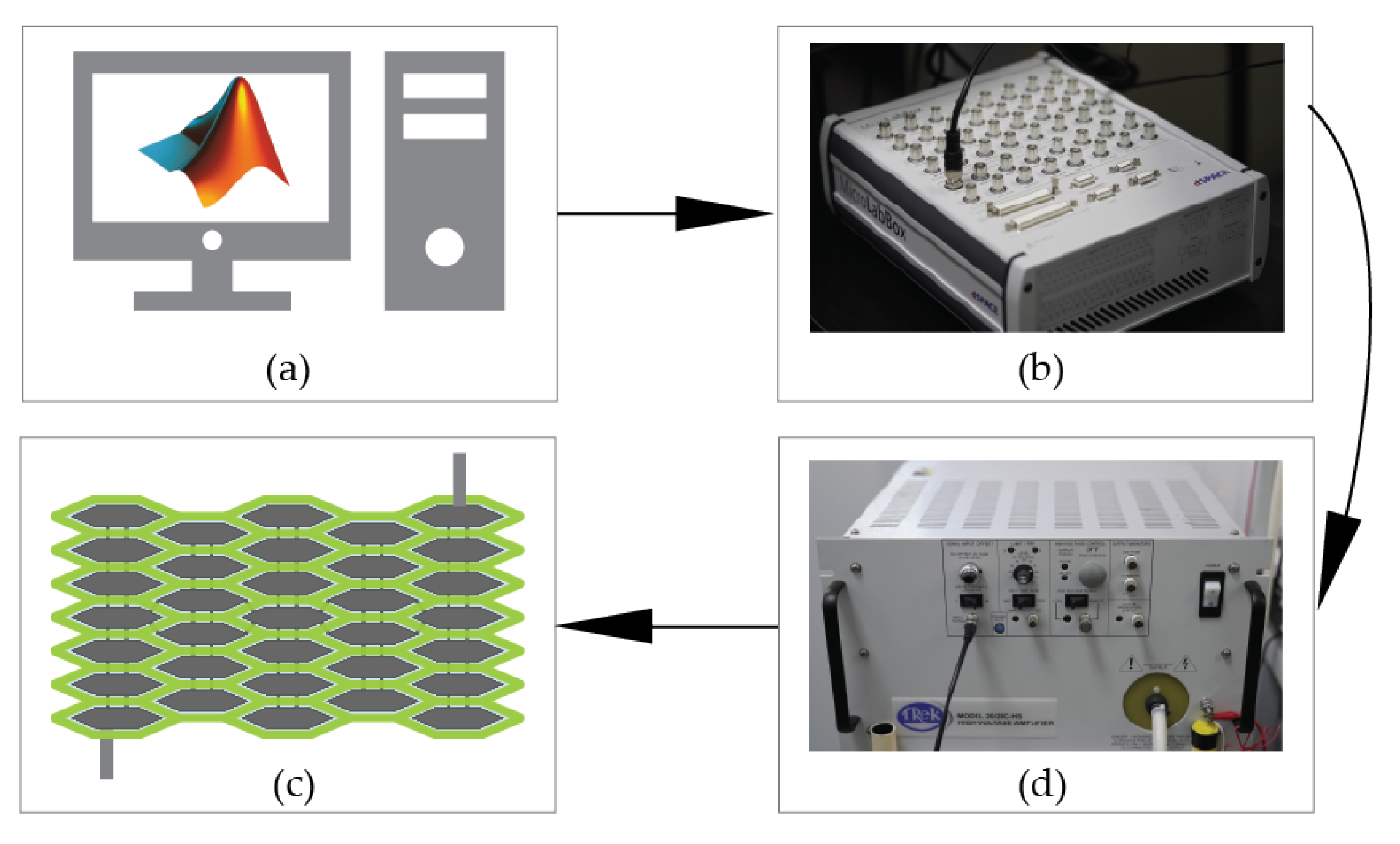 Polymers 12 00619 g007