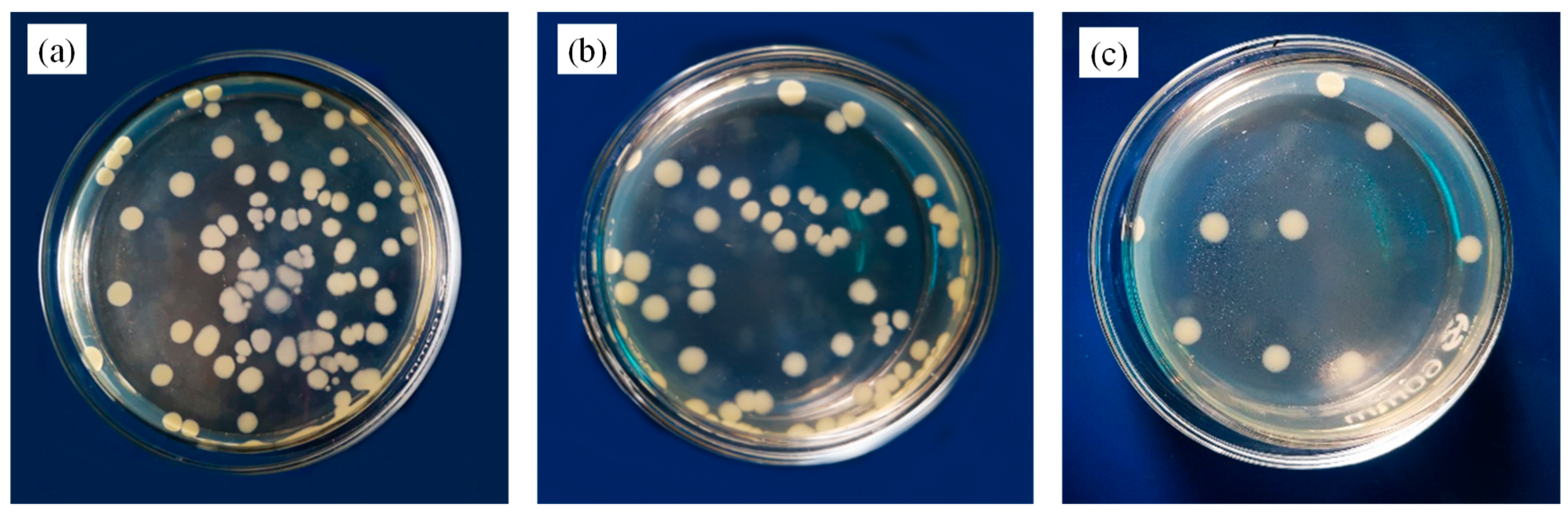 Polymers 12 00621 g013