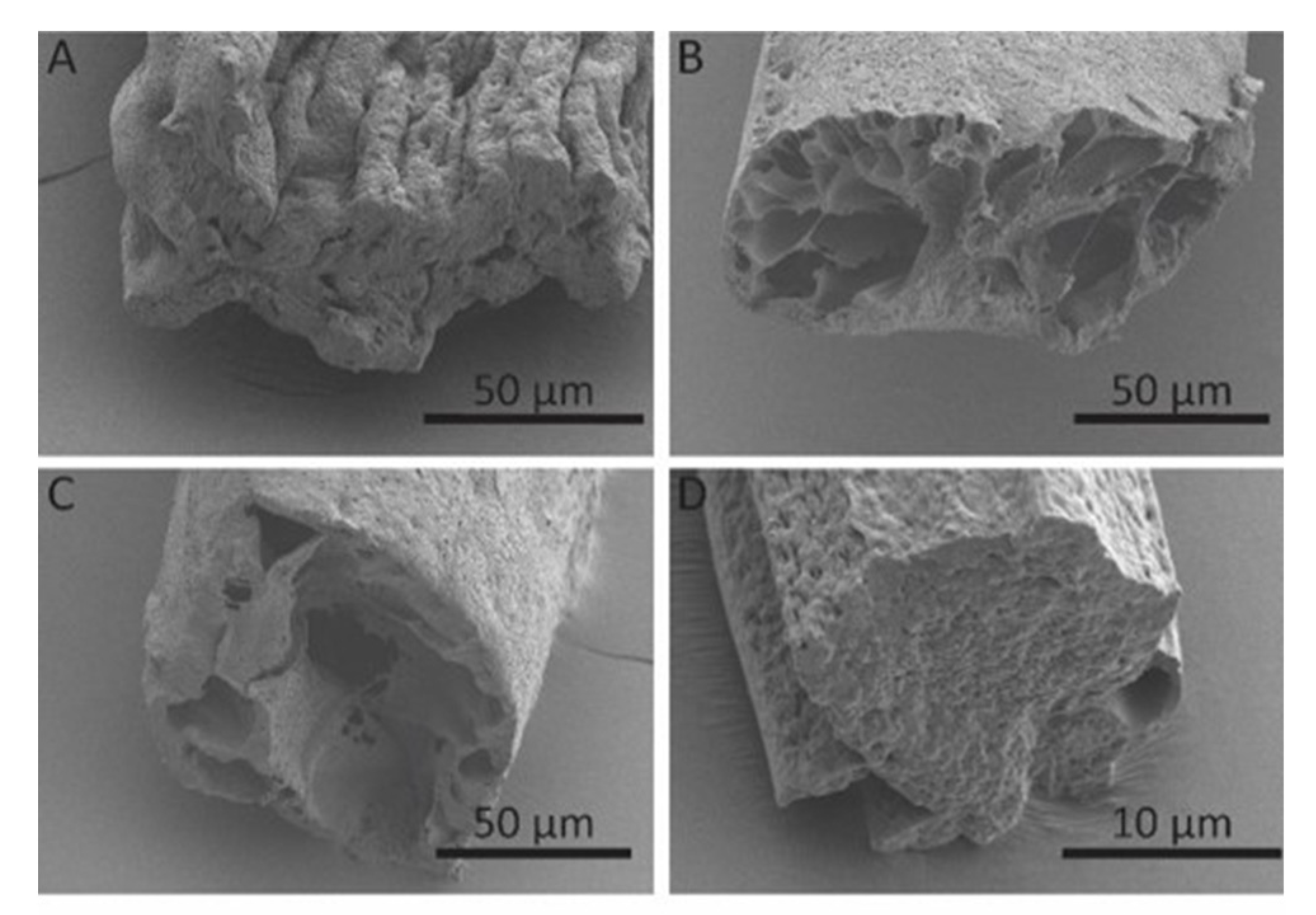 Polymers 12 00633 g005 Polymers 12 00633 g005