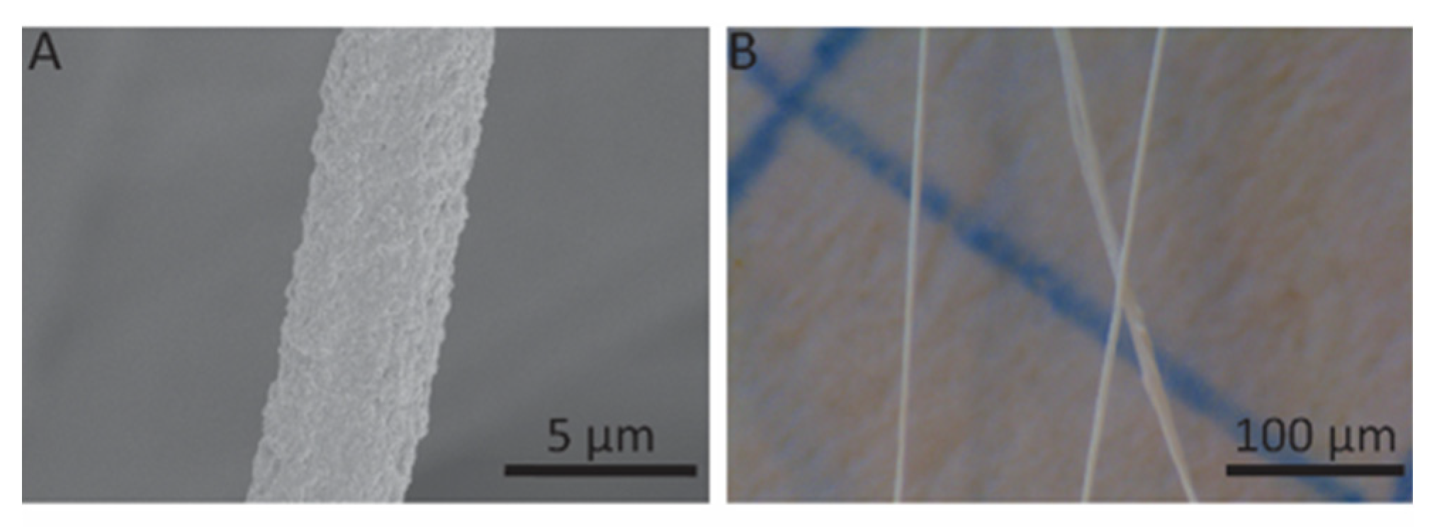 Polymers 12 00633 g006 Polymers 12 00633 g006