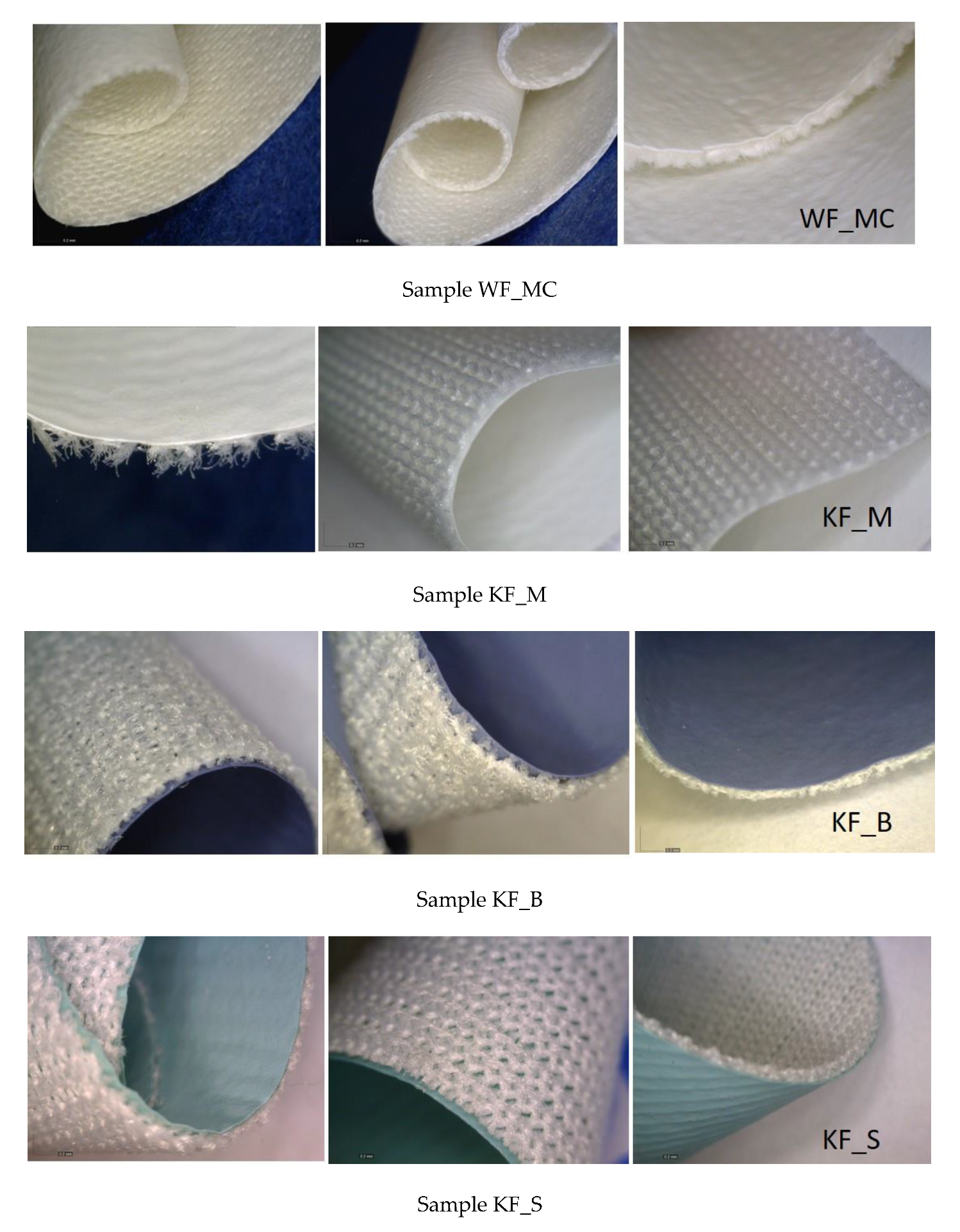 Polymers 12 00642 g001 Polymers 12 00642 g001