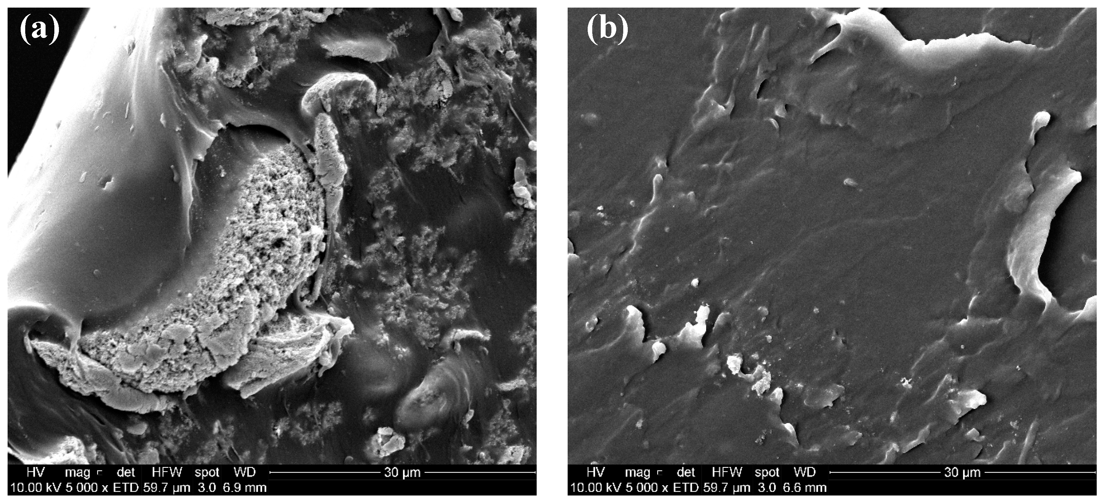 Polymers 12 00643 g006 Polymers 12 00643 g006