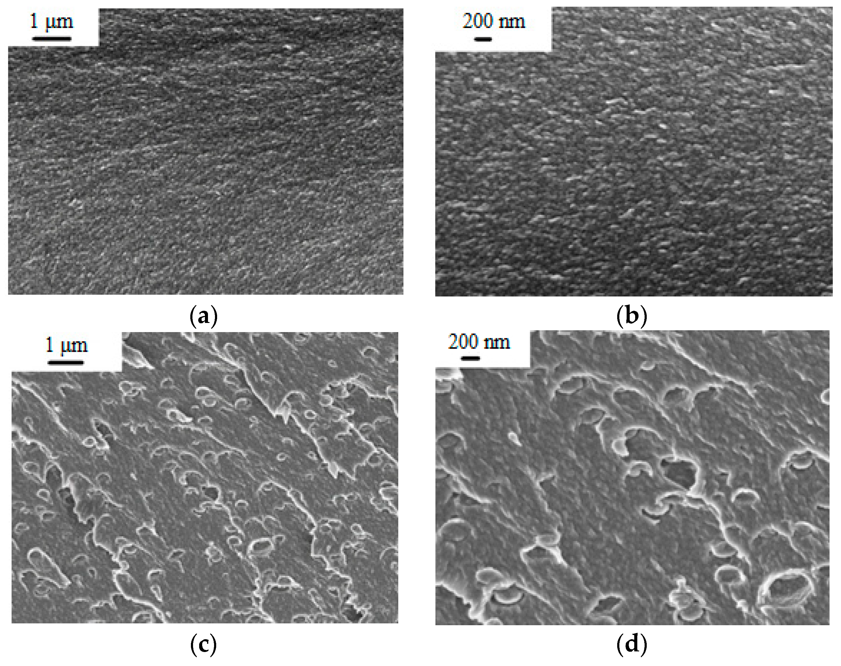 Polymers 12 00645 g004 Polymers 12 00645 g004