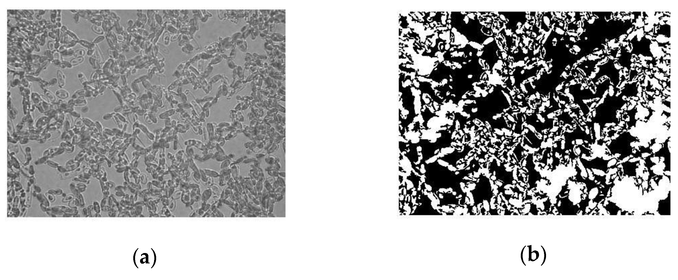 Polymers 12 00649 g001a
