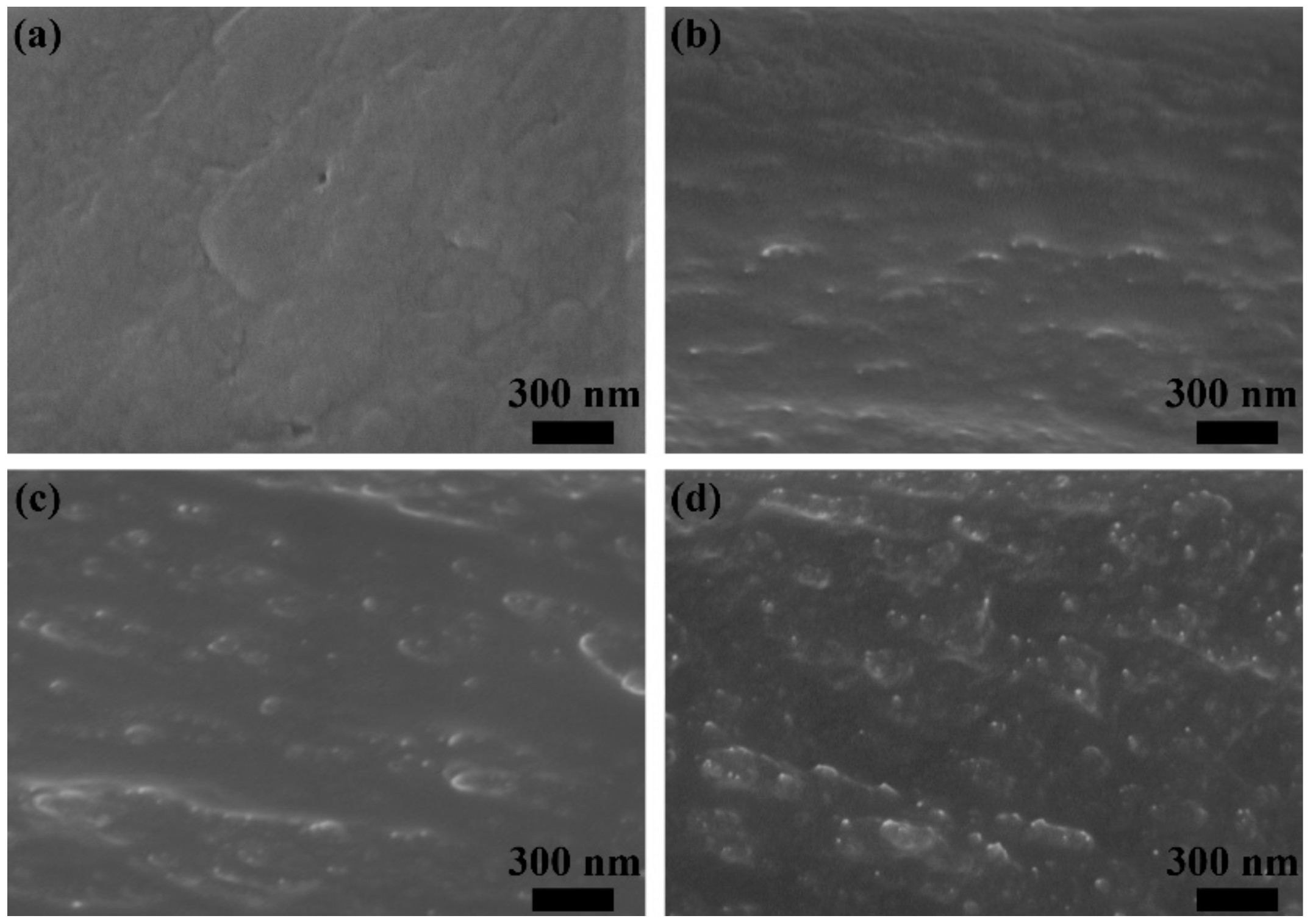 Polymers 12 00652 g004 Polymers 12 00652 g004