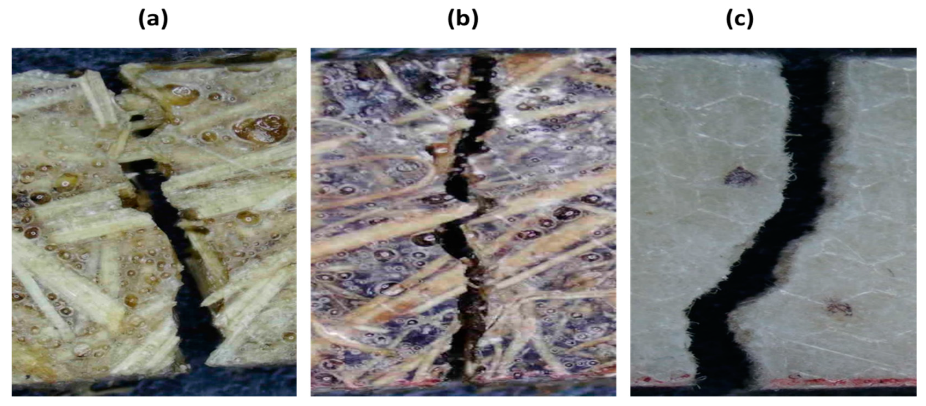 Polymers 12 00654 g005 Polymers 12 00654 g005