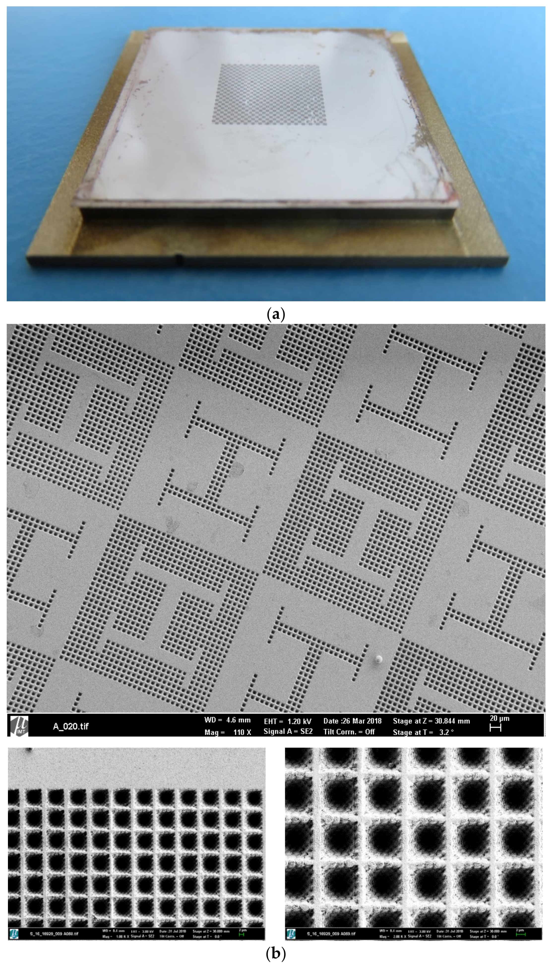 Polymers 12 00655 g002