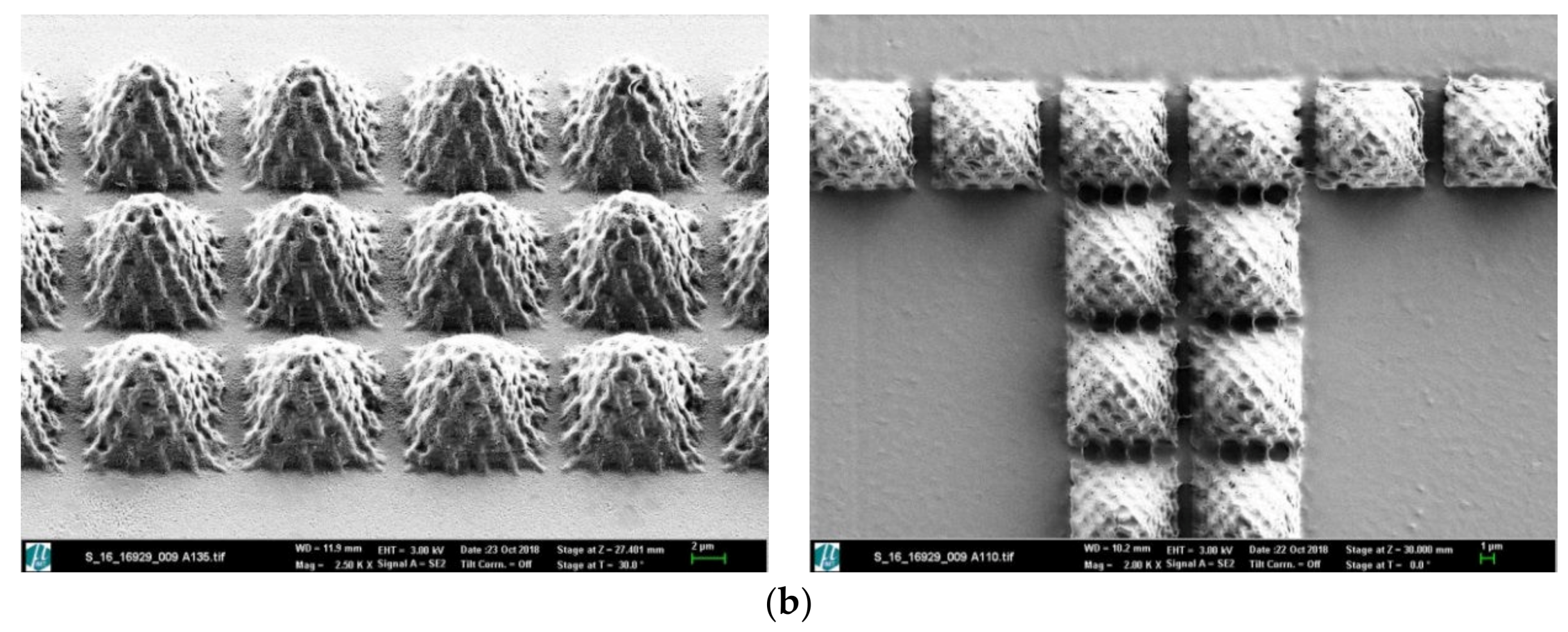Polymers 12 00655 g003b