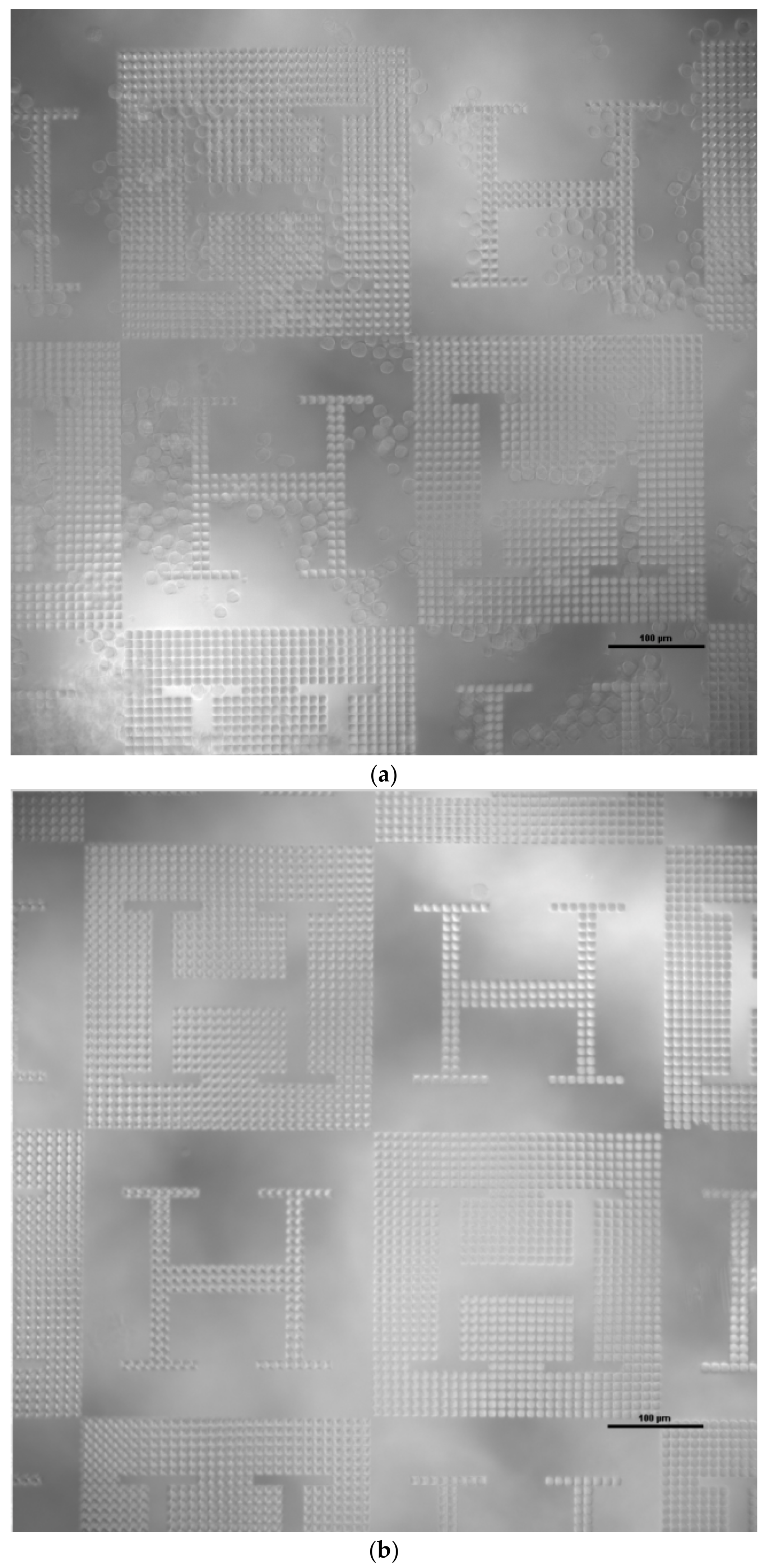 Polymers 12 00655 g004