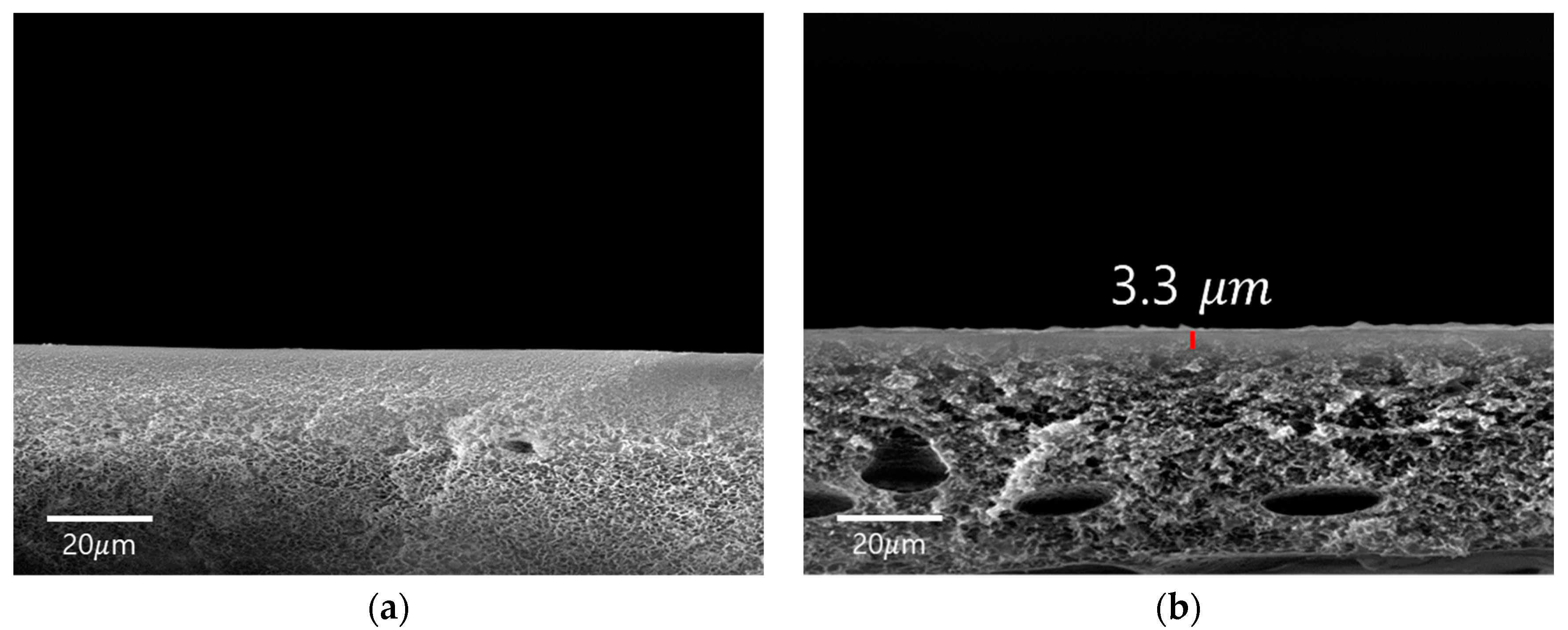 Polymers 12 00667 g001