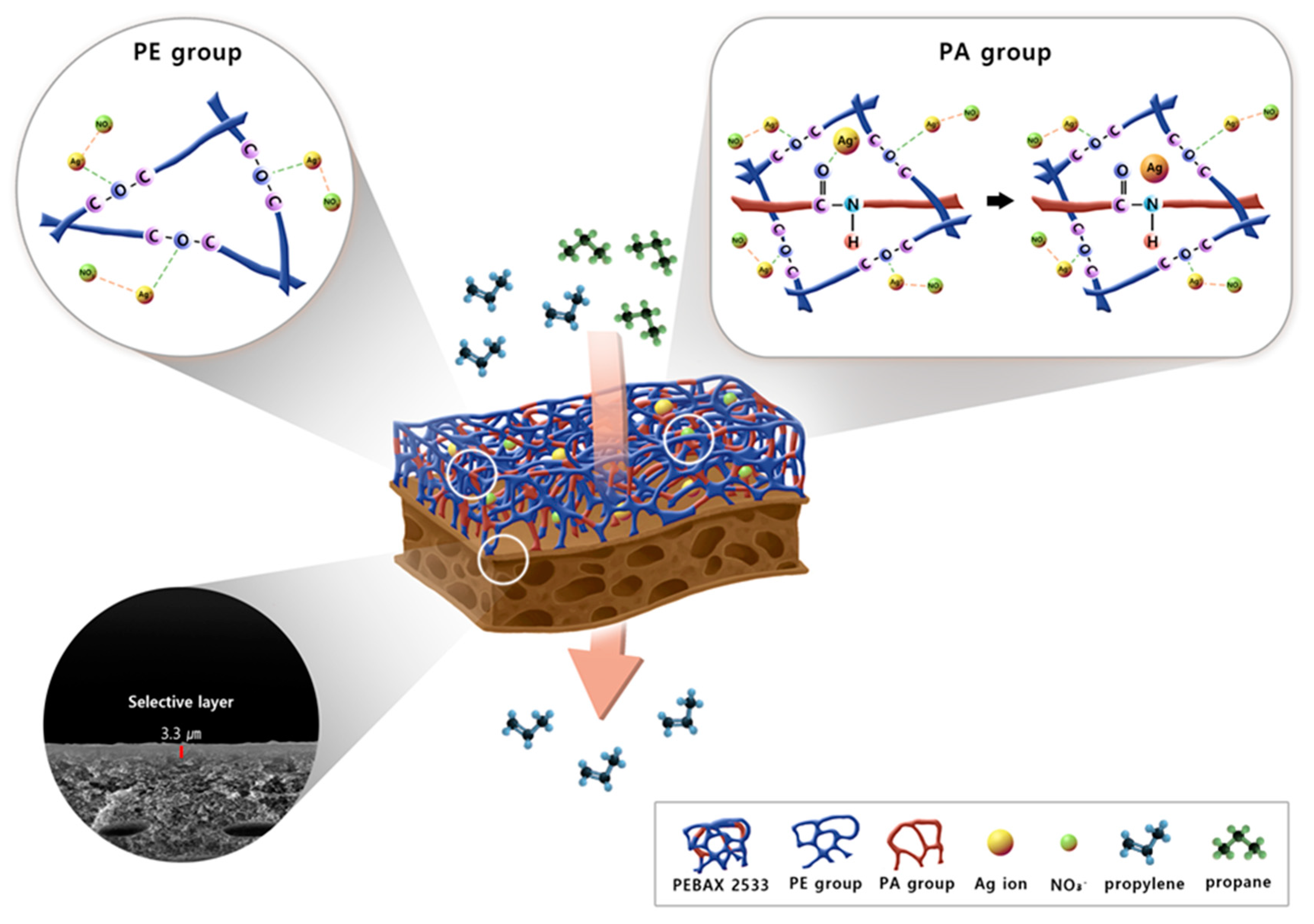 Polymers 12 00667 sch001