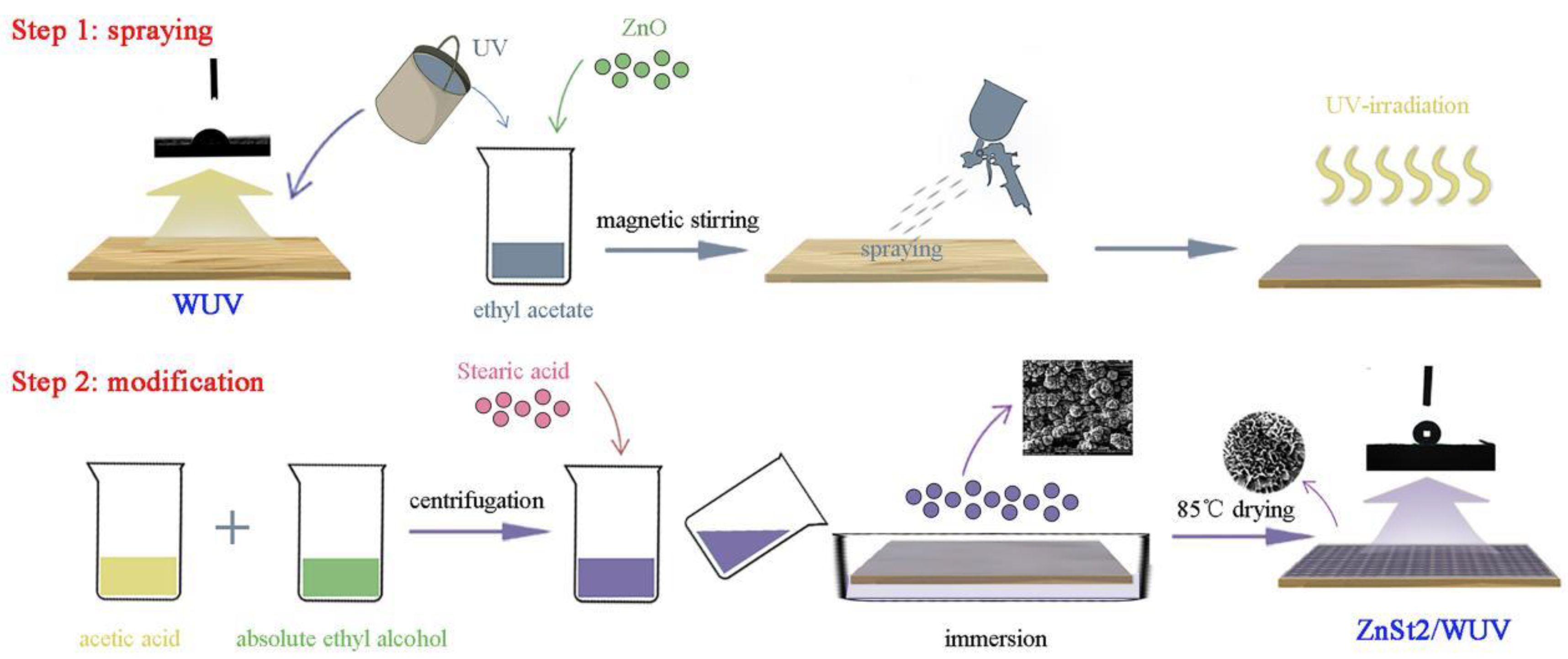 Polymers 12 00668 g001