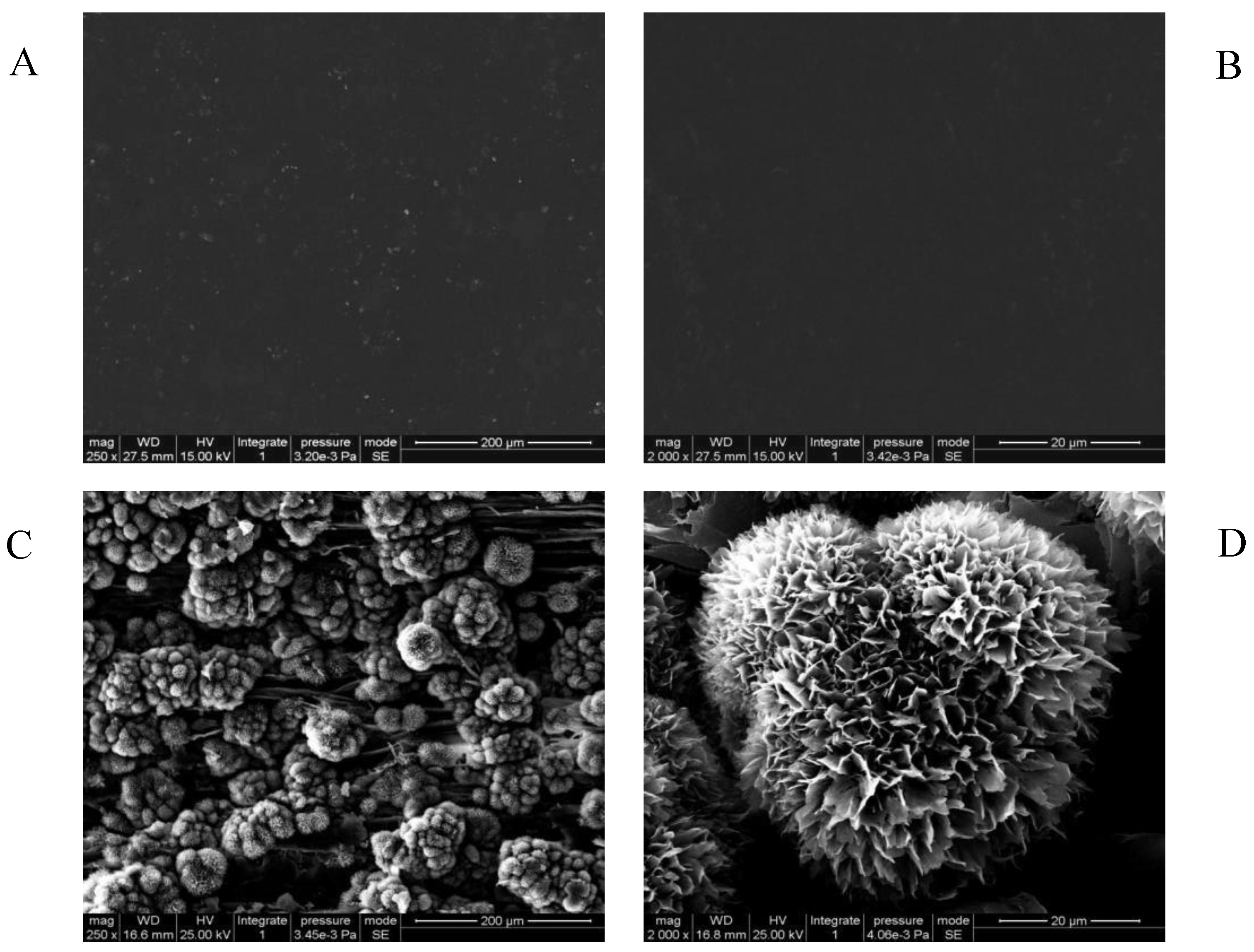 Polymers 12 00668 g002