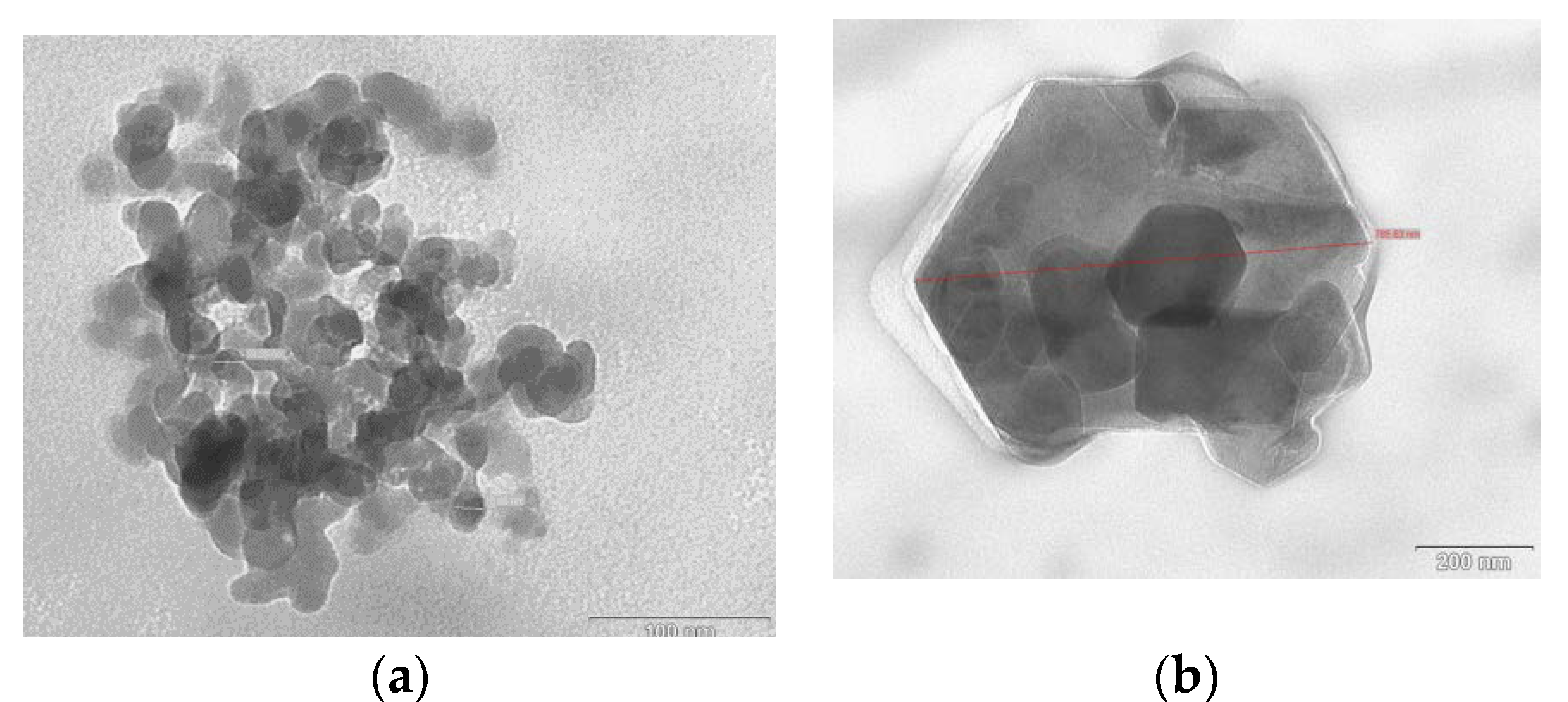 Polymers 12 00681 g001