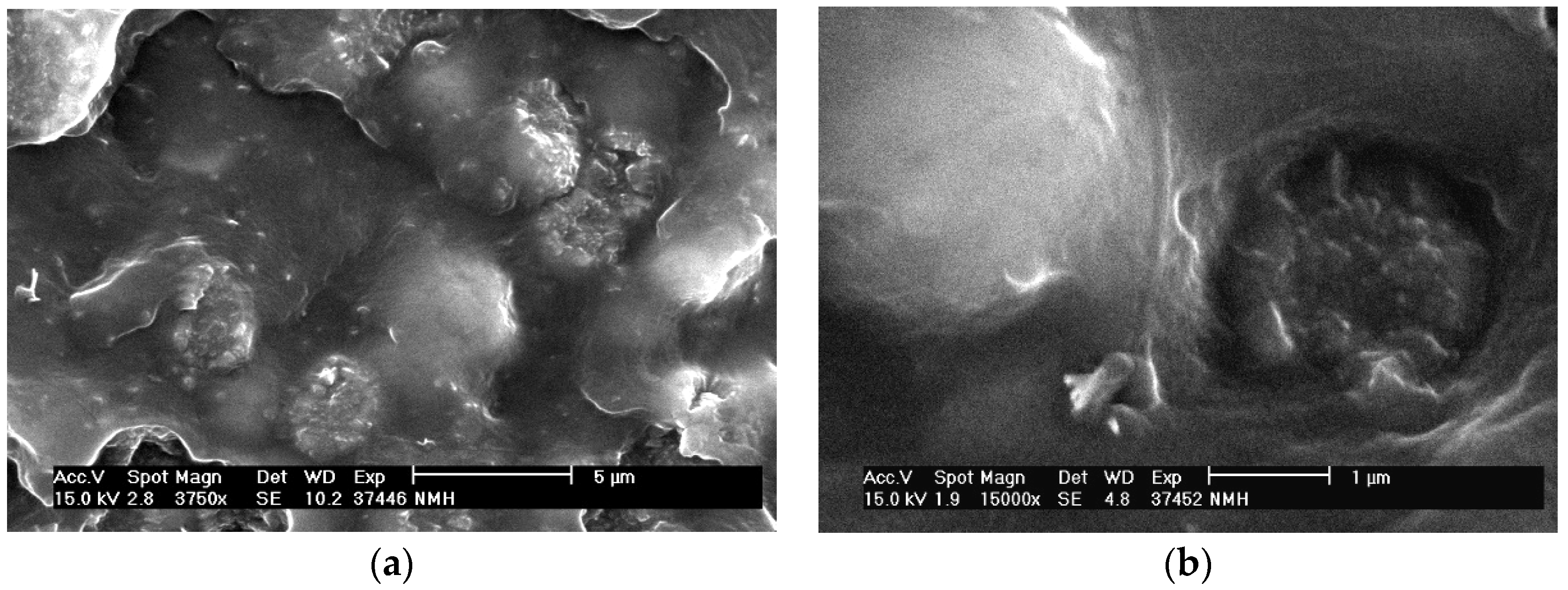 Polymers 12 00681 g003