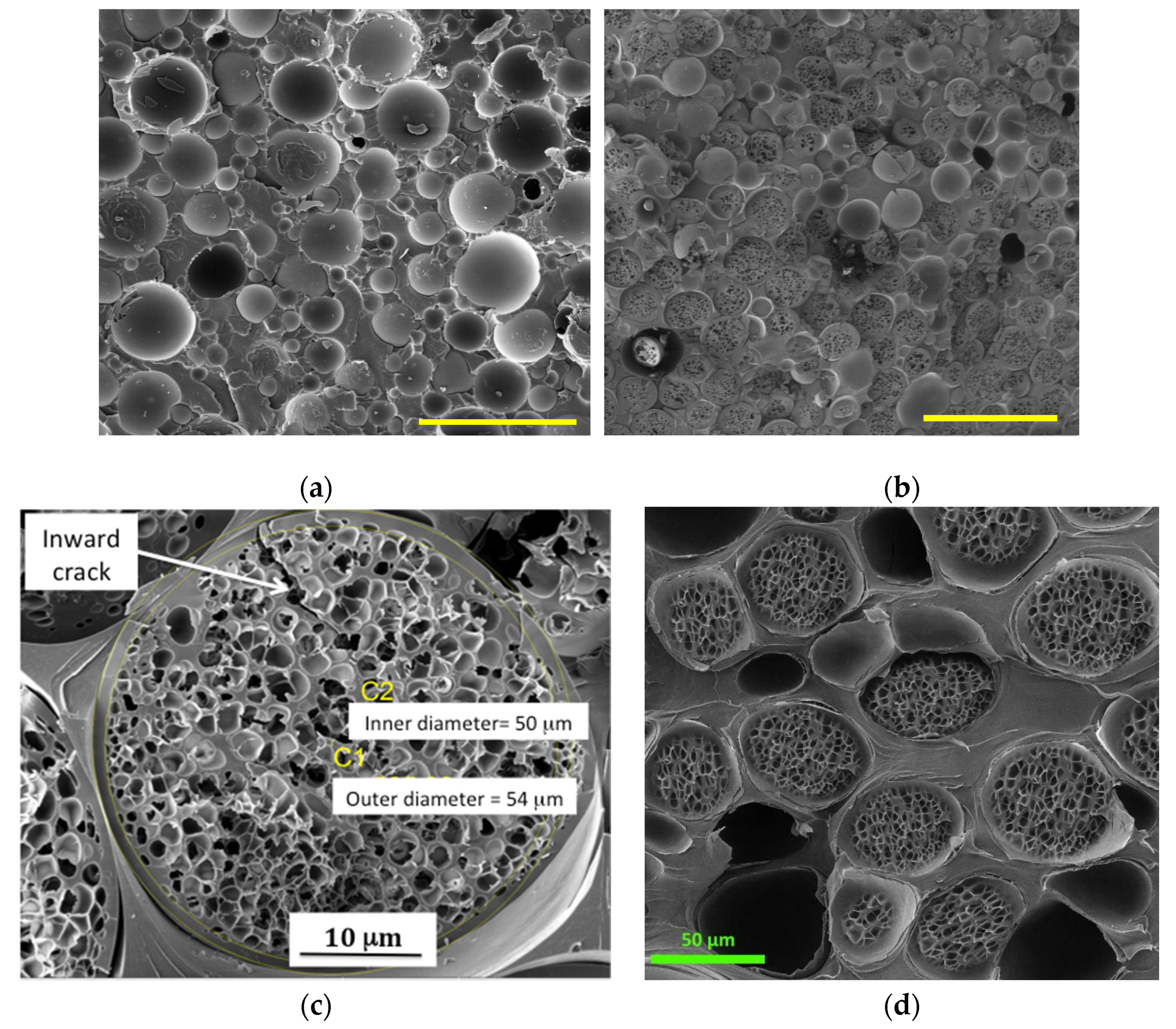 Polymers 12 00681 g004