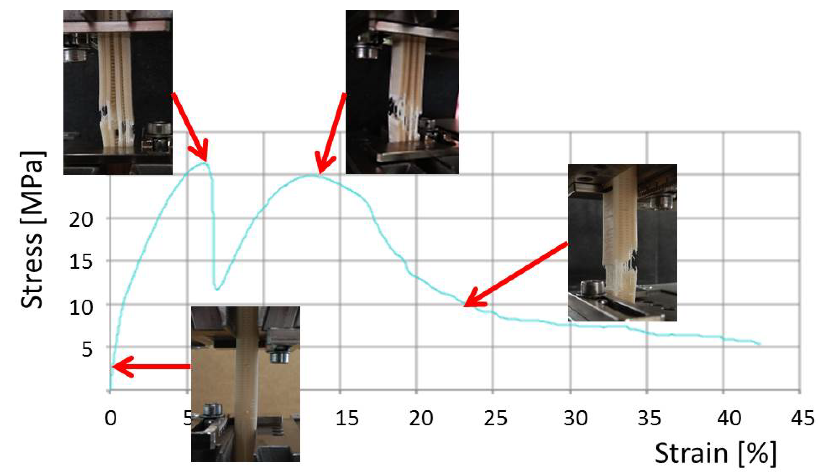 Polymers 12 00681 g008