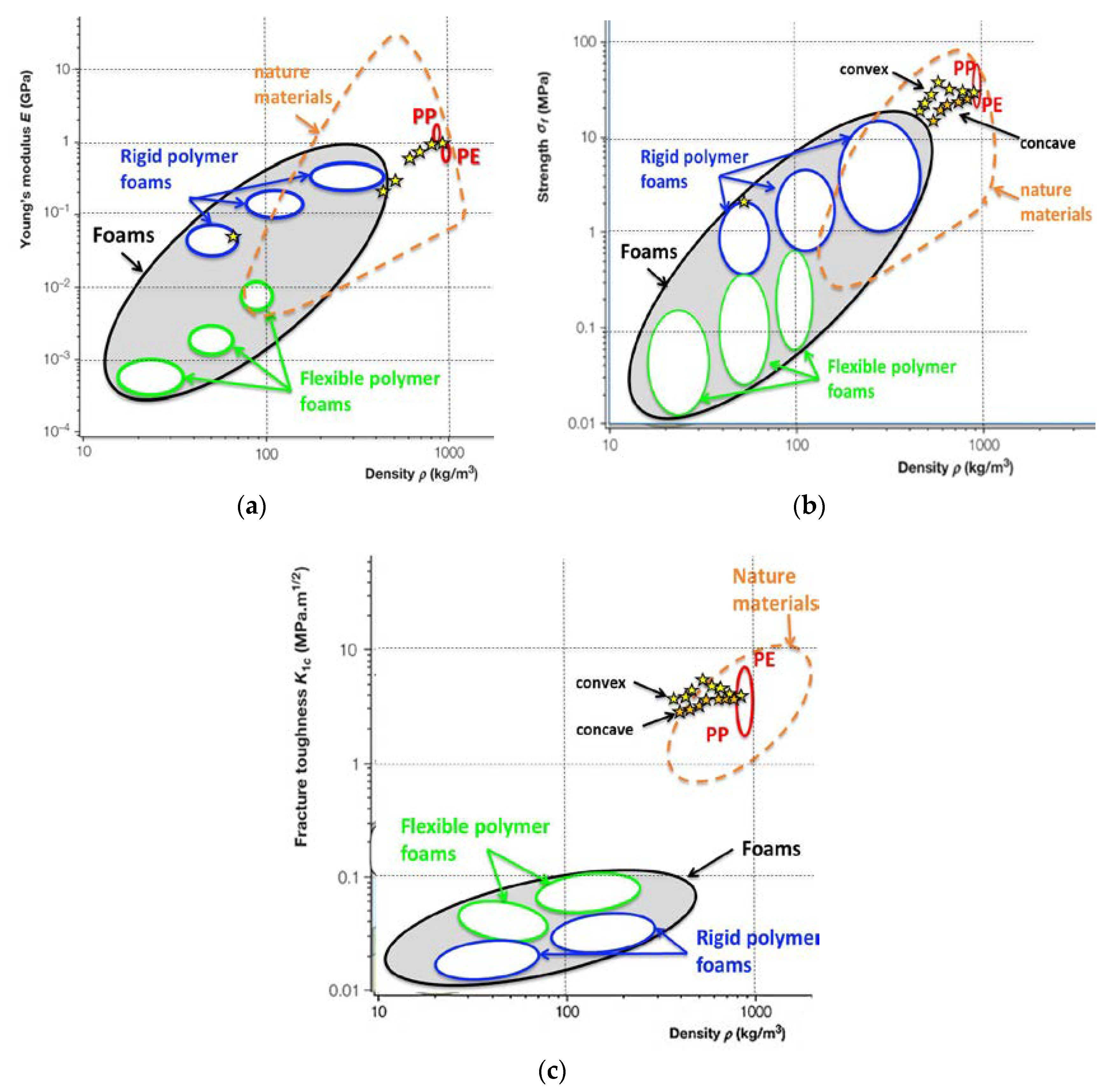 Polymers 12 00681 g011