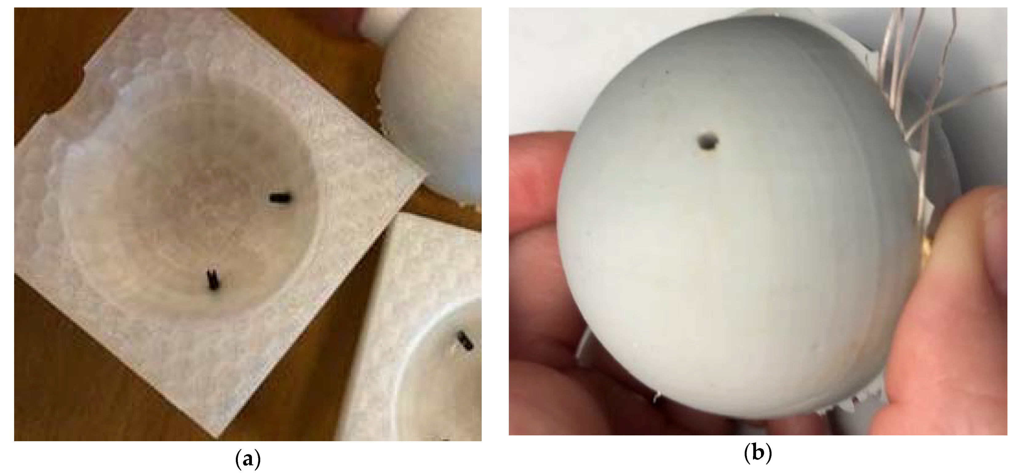 Polymers 12 00686 g003 Polymers 12 00686 g003