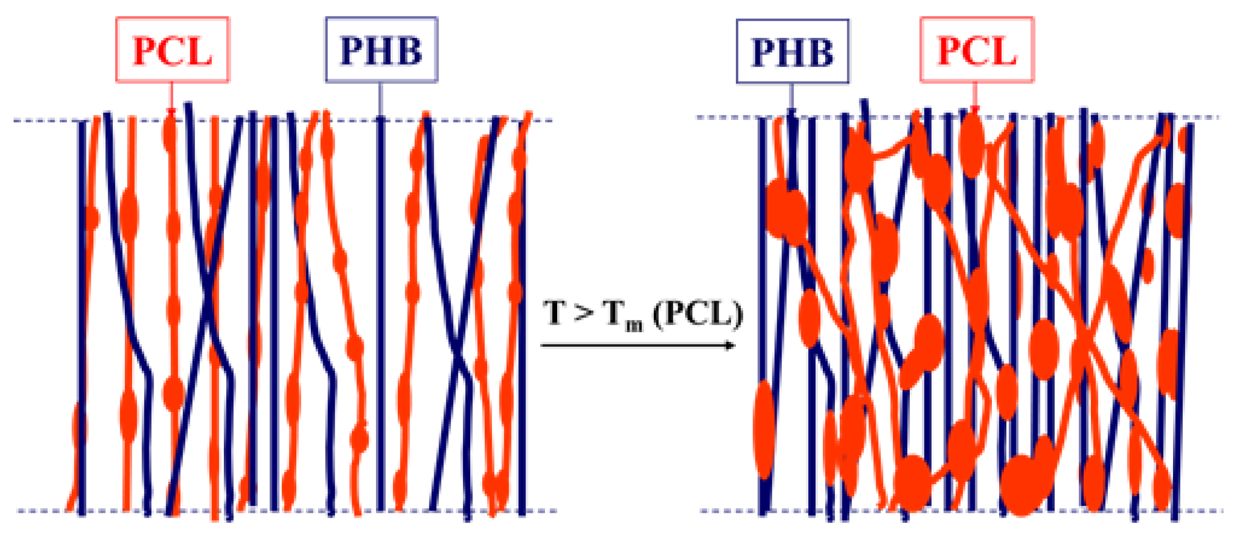 Polymers 12 00693 g003